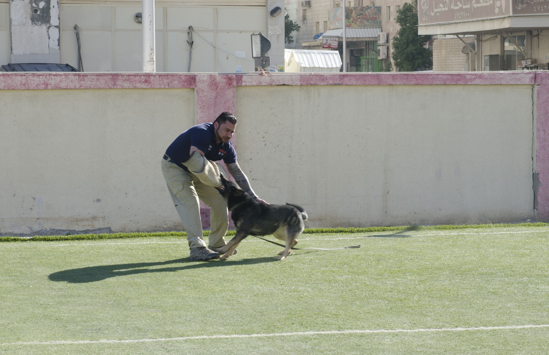 Rex, an explosive ordnance detection dog, attacks his handler d…