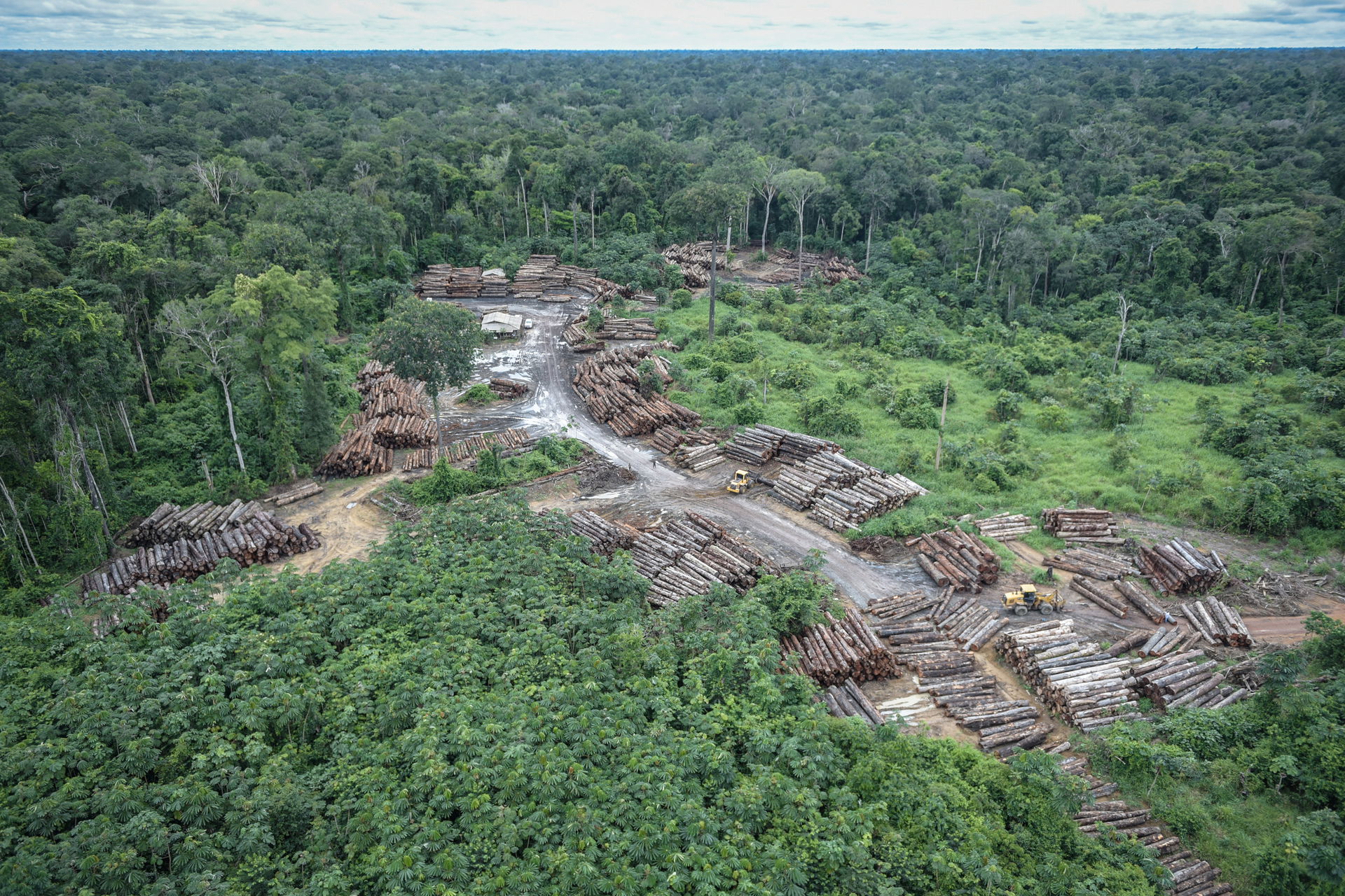Ibama combate desmatamento ilegal na Terra Indígena Pirititi, R…