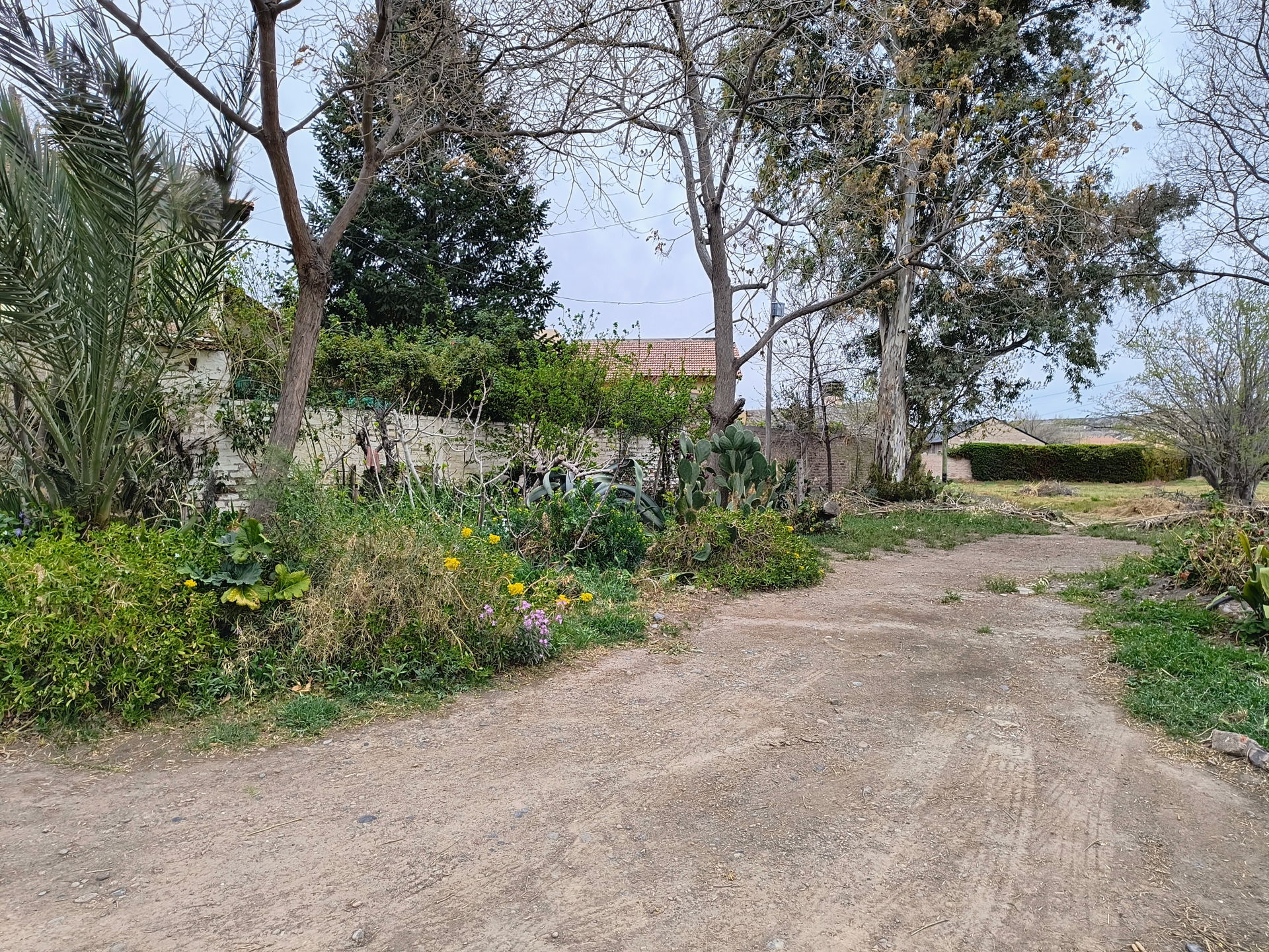 Villa Regina, Río Negro, 2024