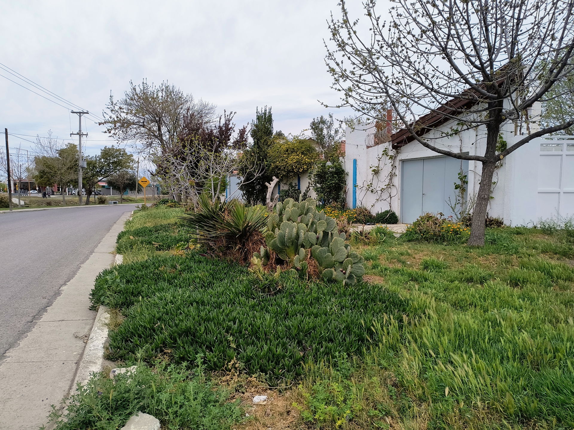Ruta 22, Villa Regina, Río Negro, 2024