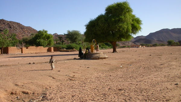 Tîmia