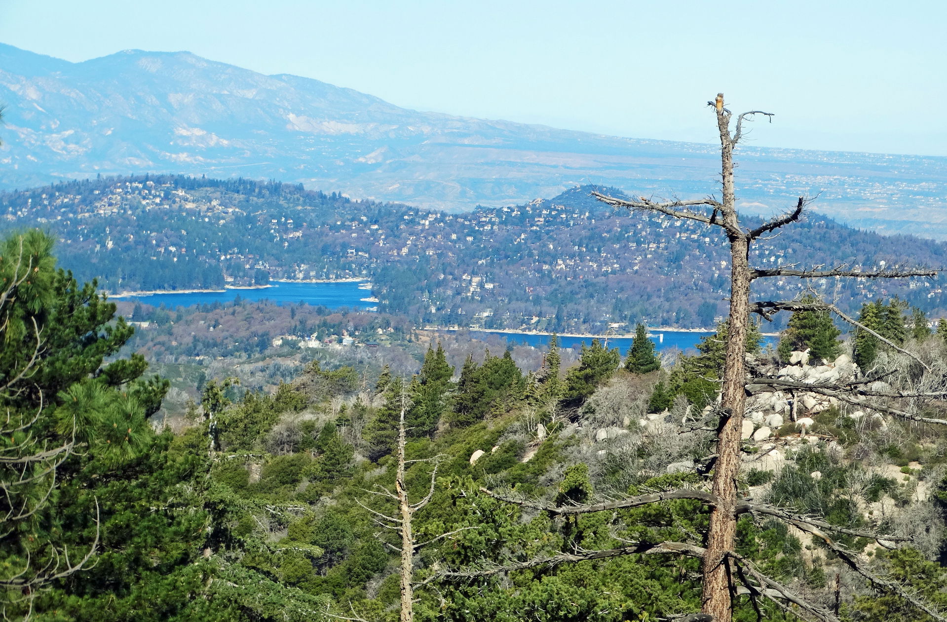 (1 in a multiple picture album) 

I took a drive into the San B…