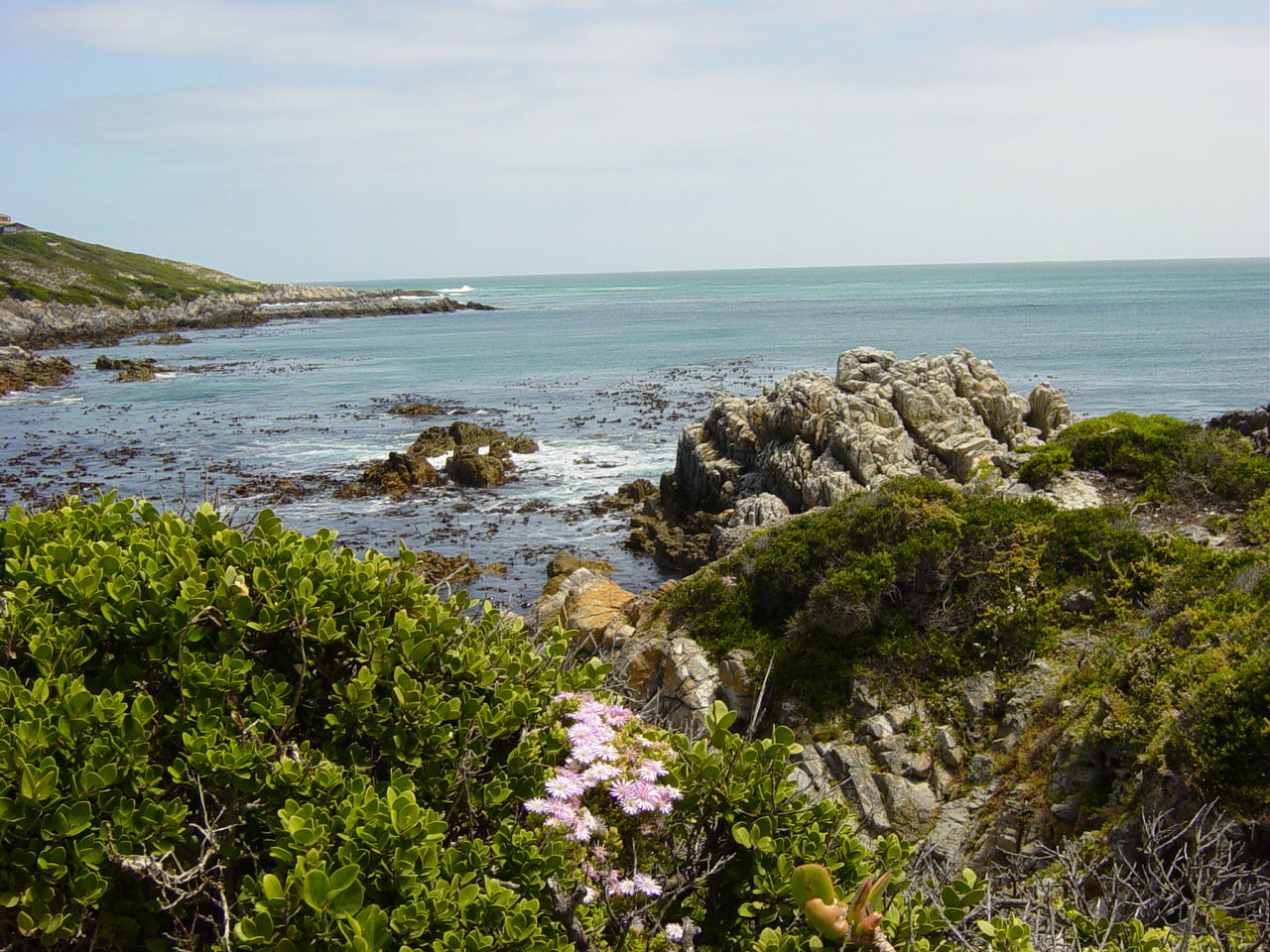 Coast of Hermanus, South Africa