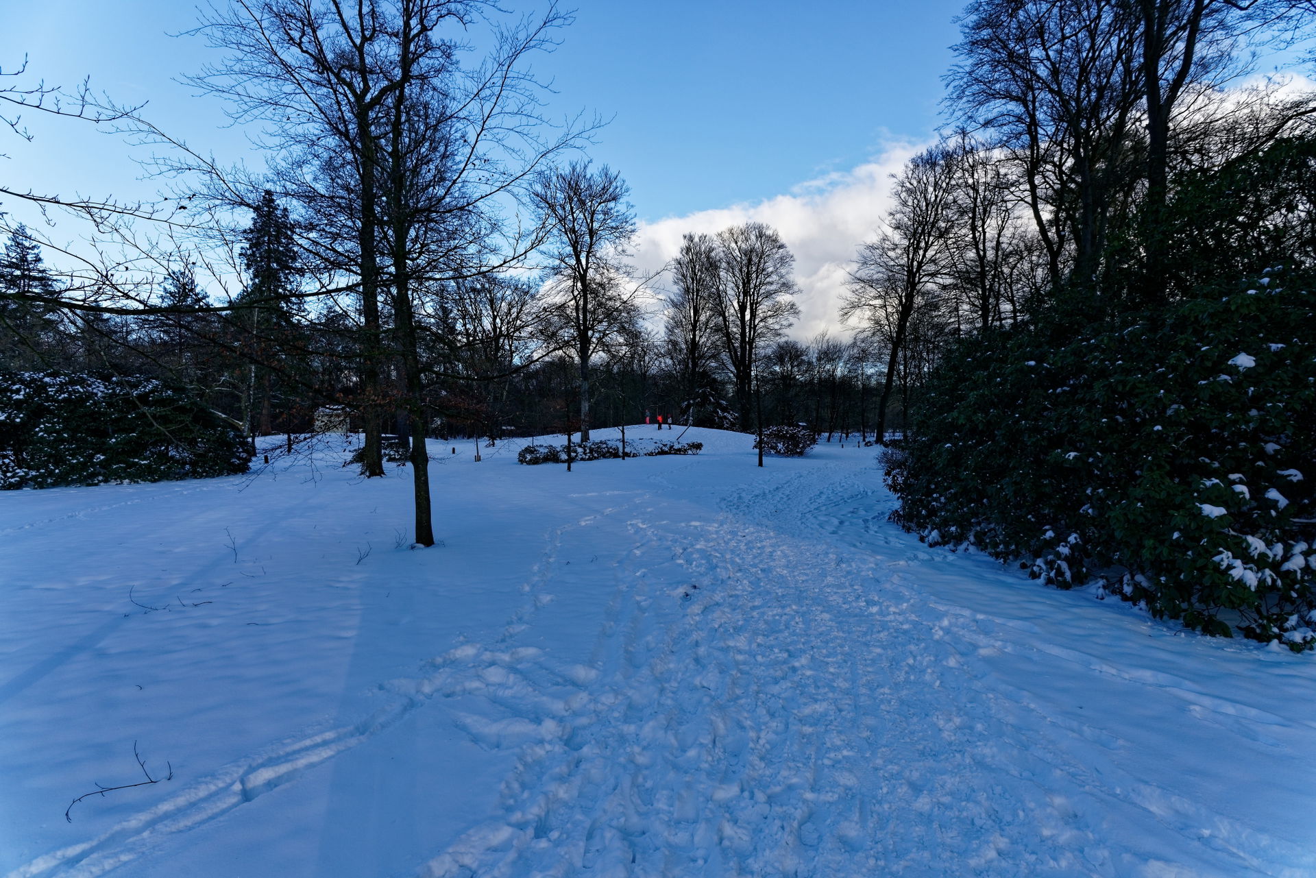 Ermelo - Landgoed Staverden 07