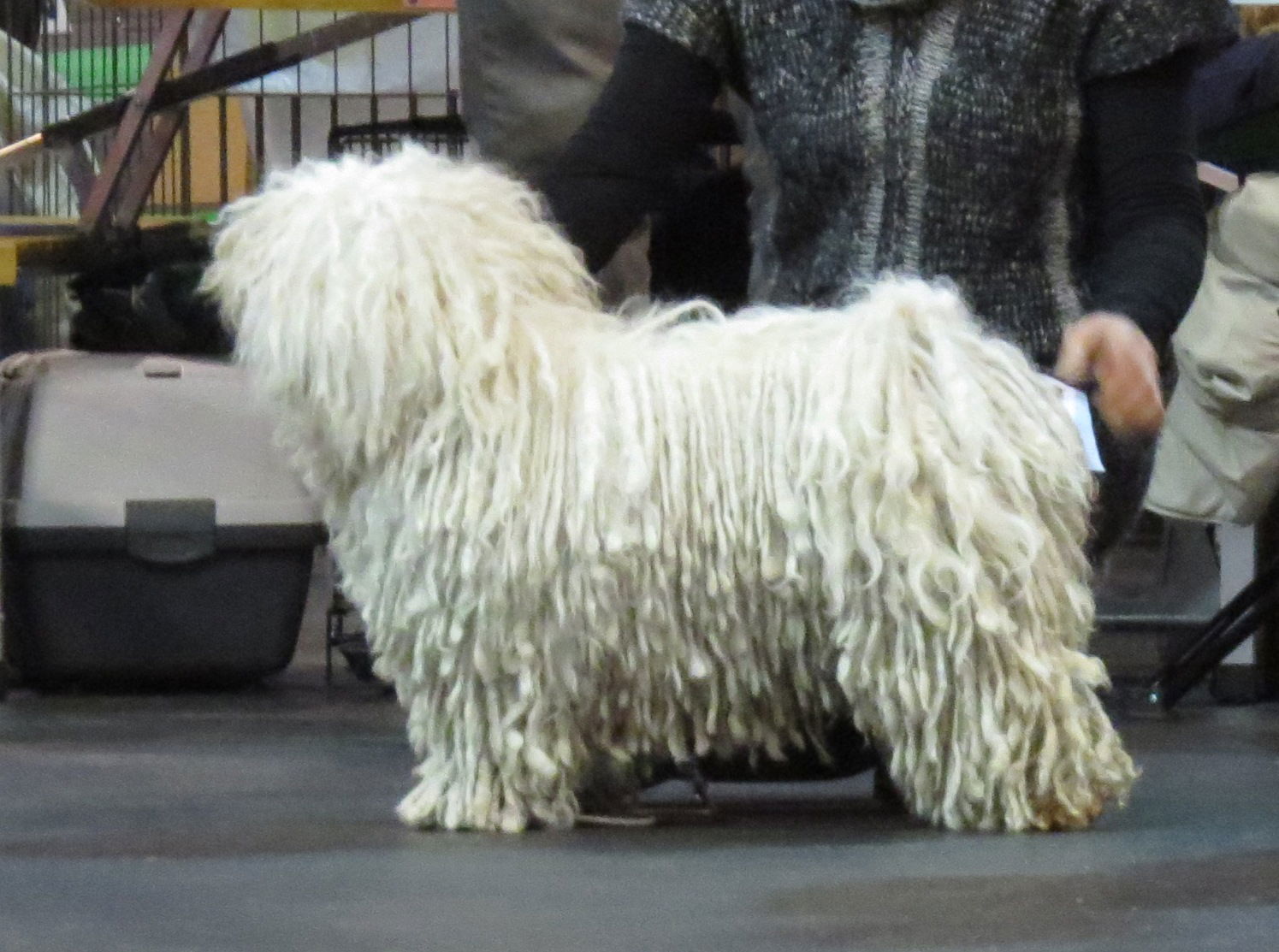 Riga, Baltic Winner 2013, 9-10 Nov