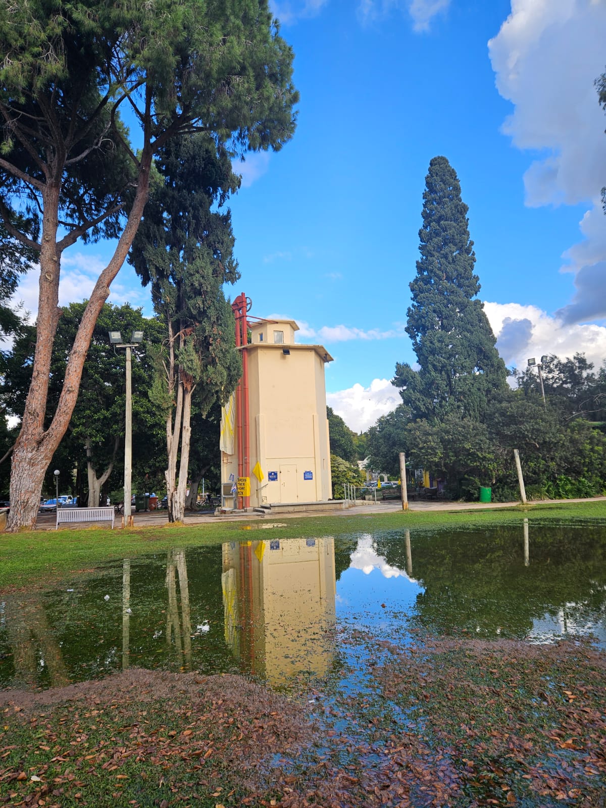 בשנת 1931 נבנה הסילו הראשון בקיבוץ גן שמואל. חומר הגלם לבנייתו,…
