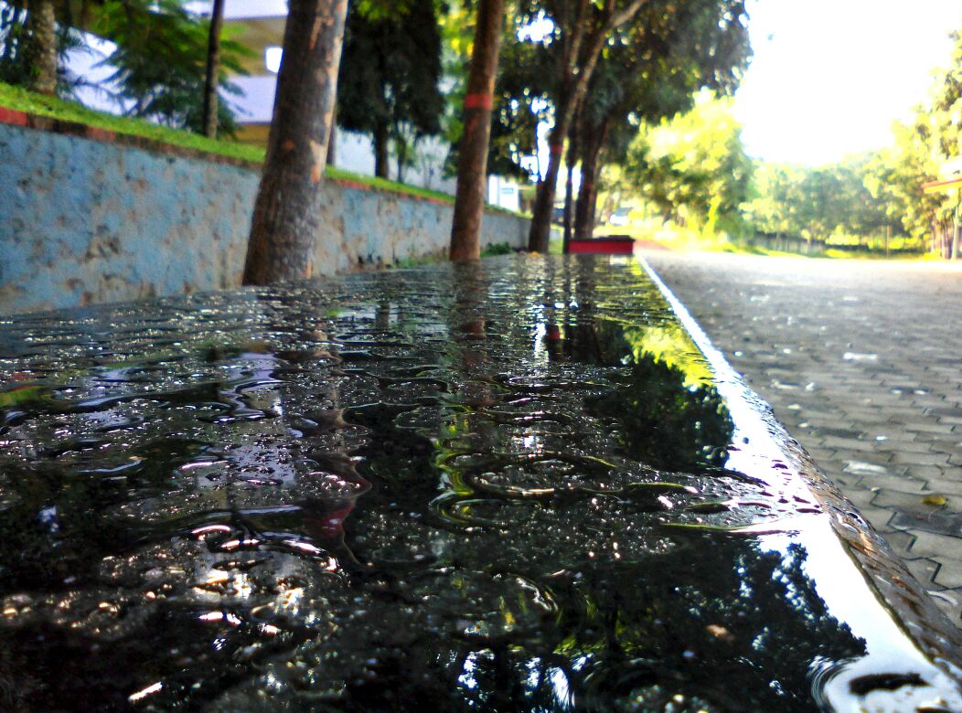 Christian college chengannur marble benches