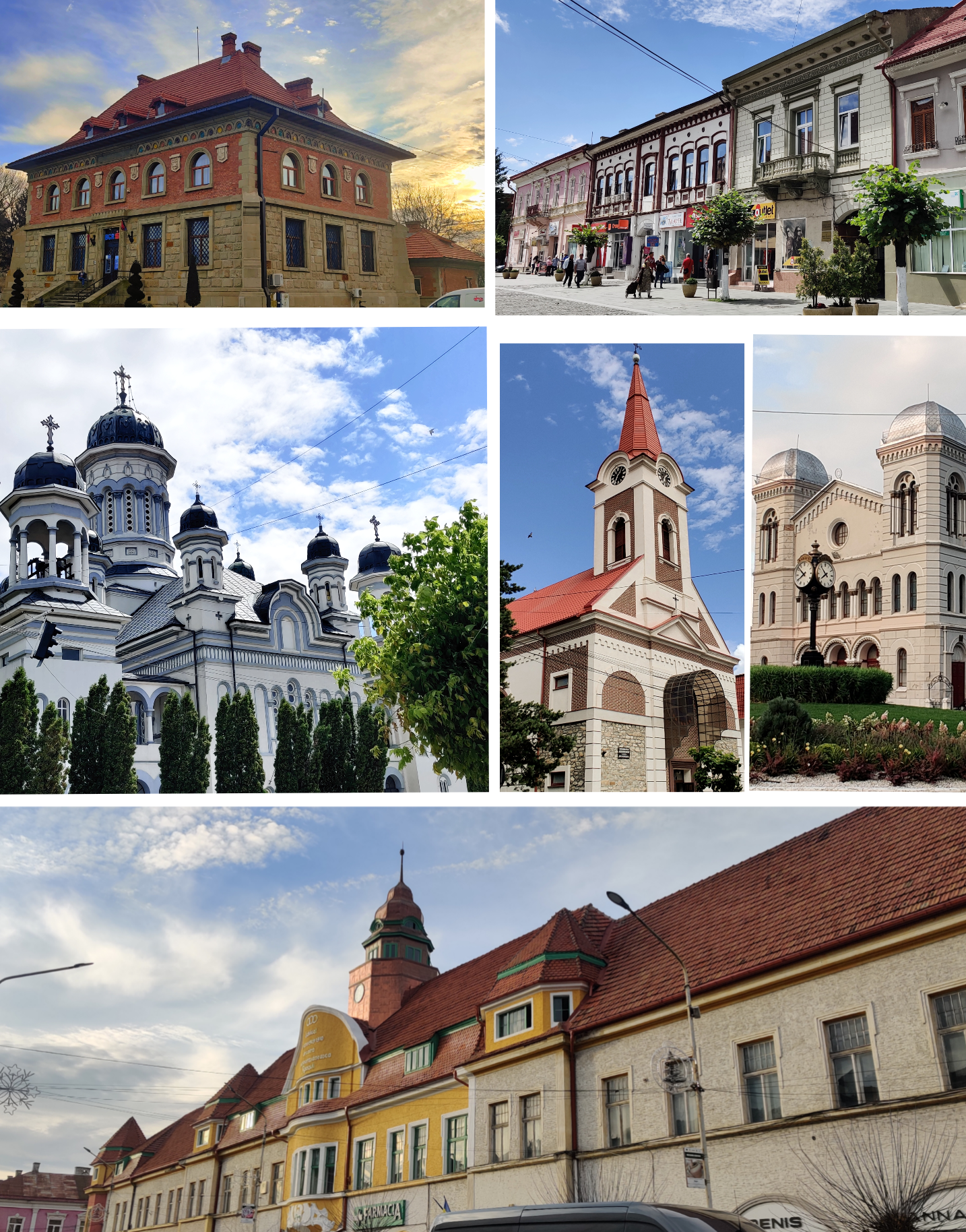 Radauti oraș