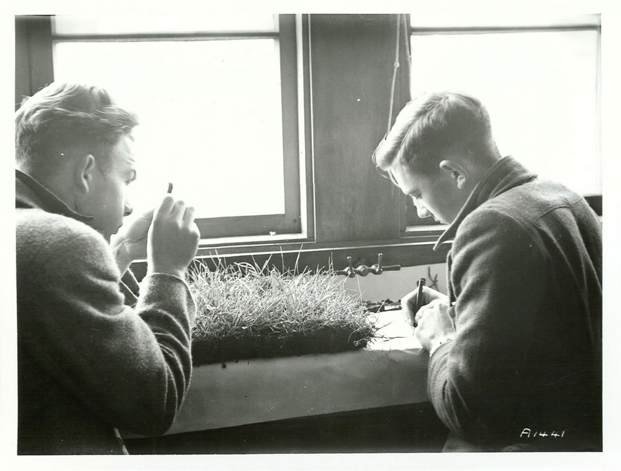 Feilding Agricultural High School
Photographer: Not identified…