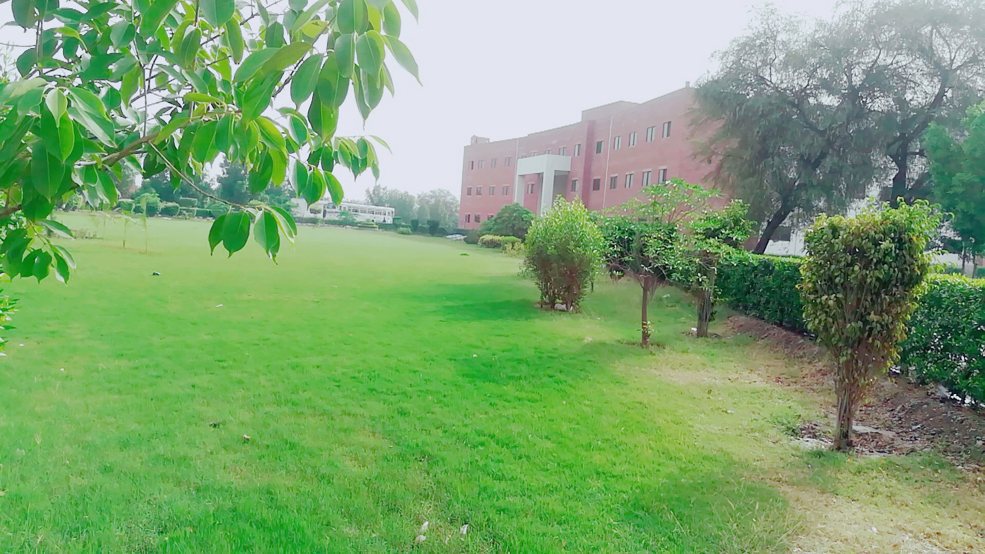 A beautiful scenic view of COMSATS UNIVERSITY Vehari campus pak…