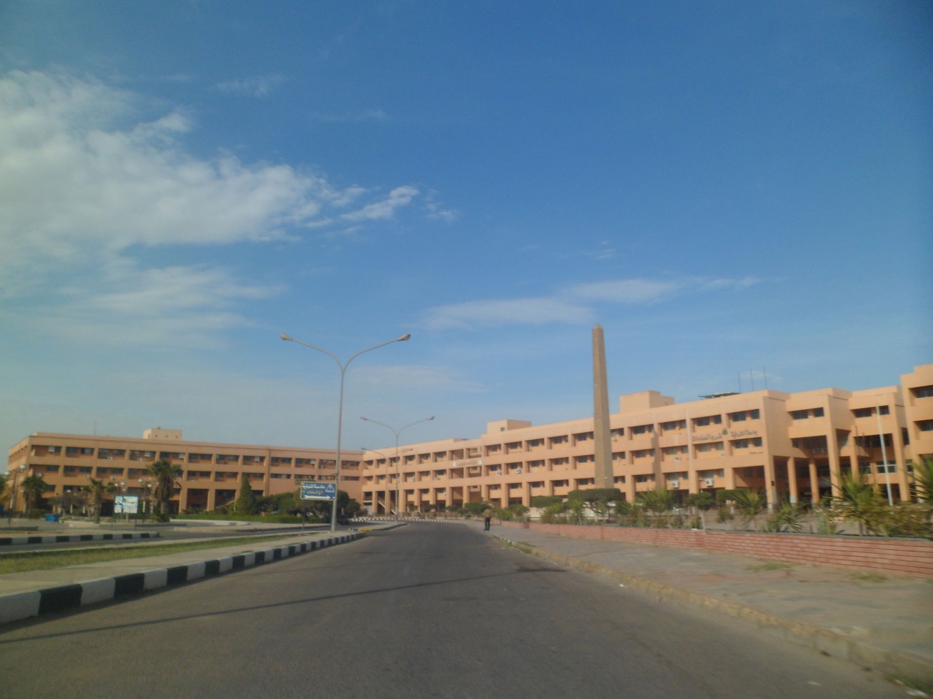 Menoufia university-Sadat city
