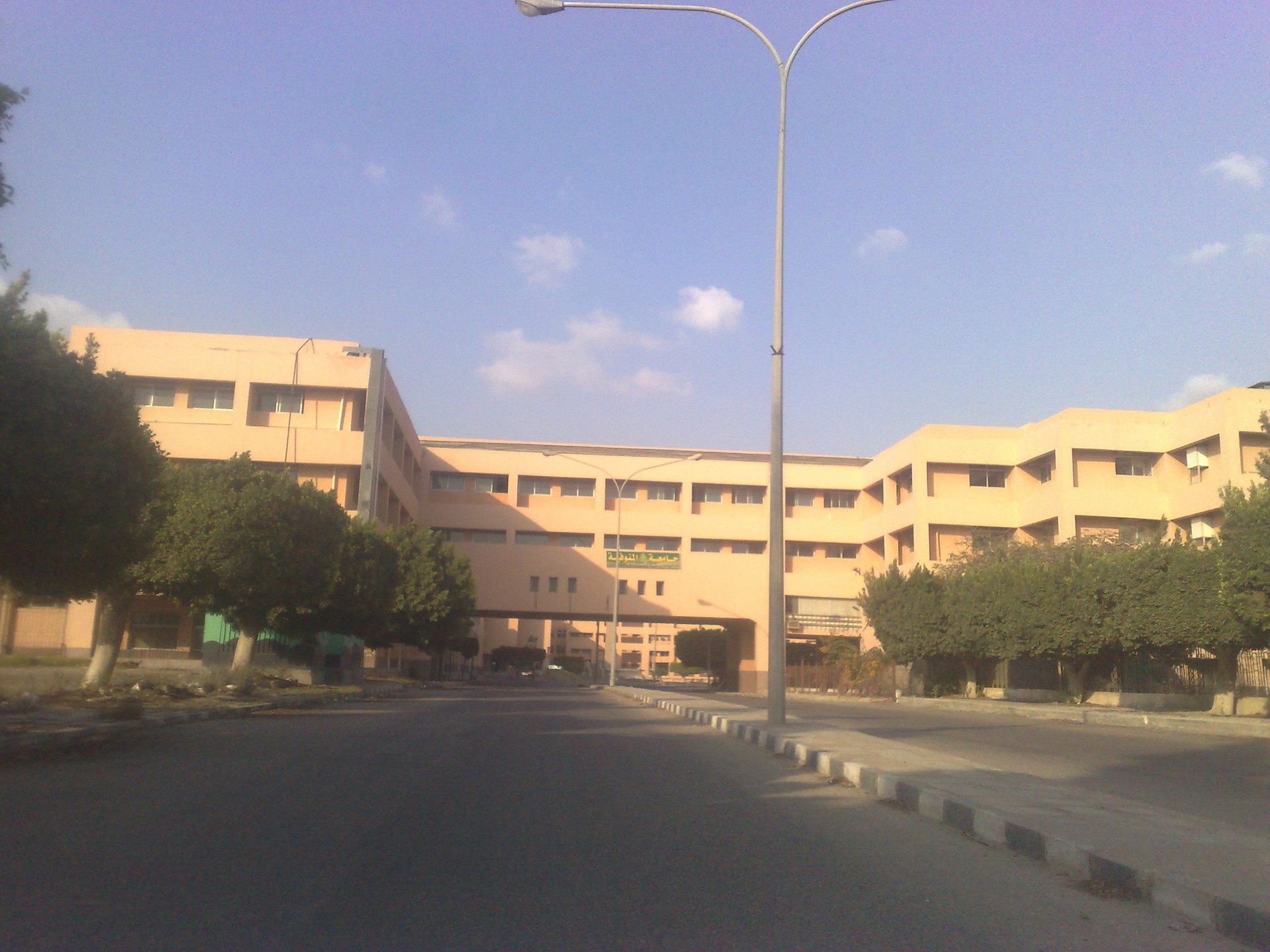 Menoufia University - Sadat City