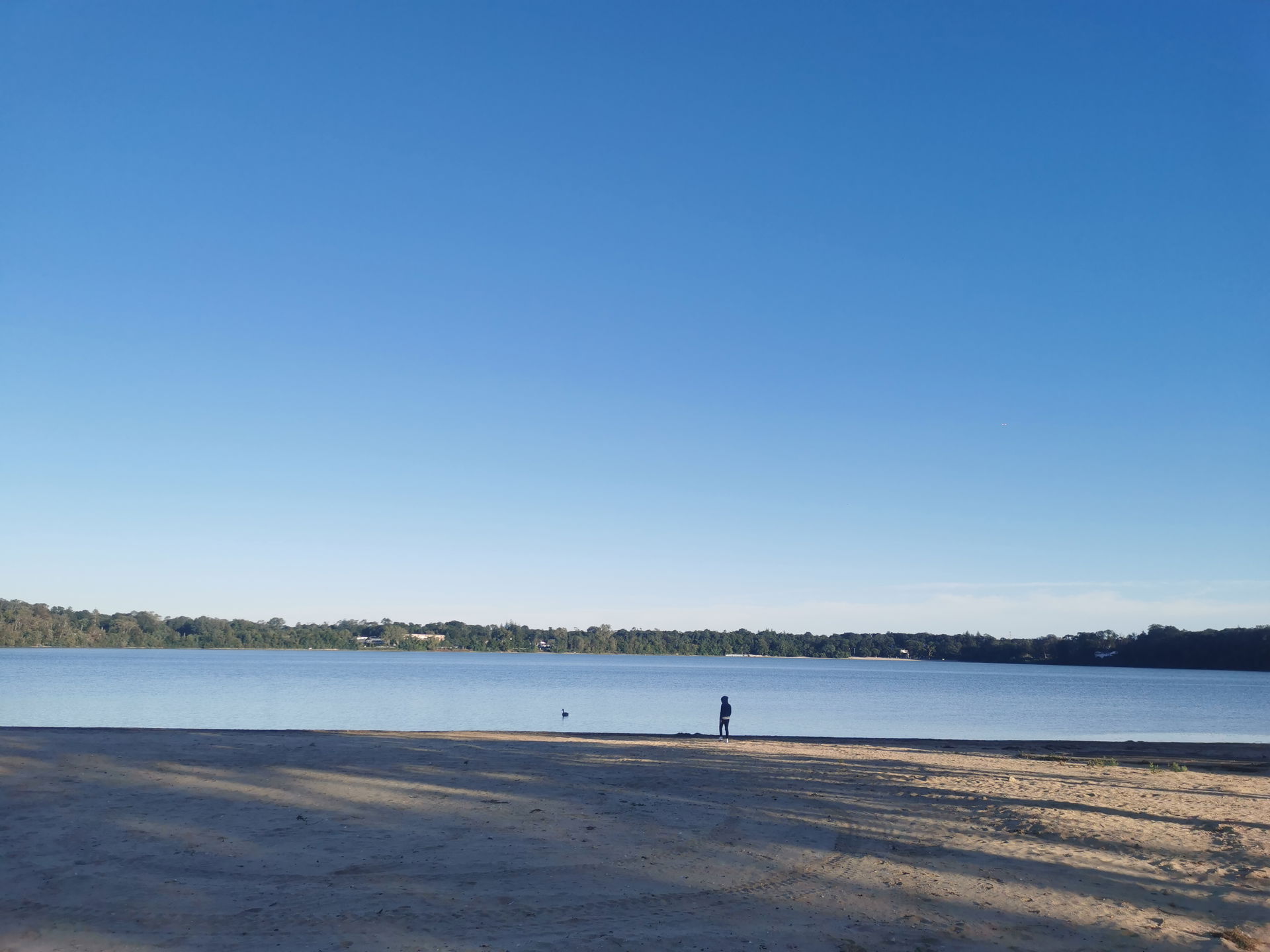 Ronkonkoma lake (New York) in autumn