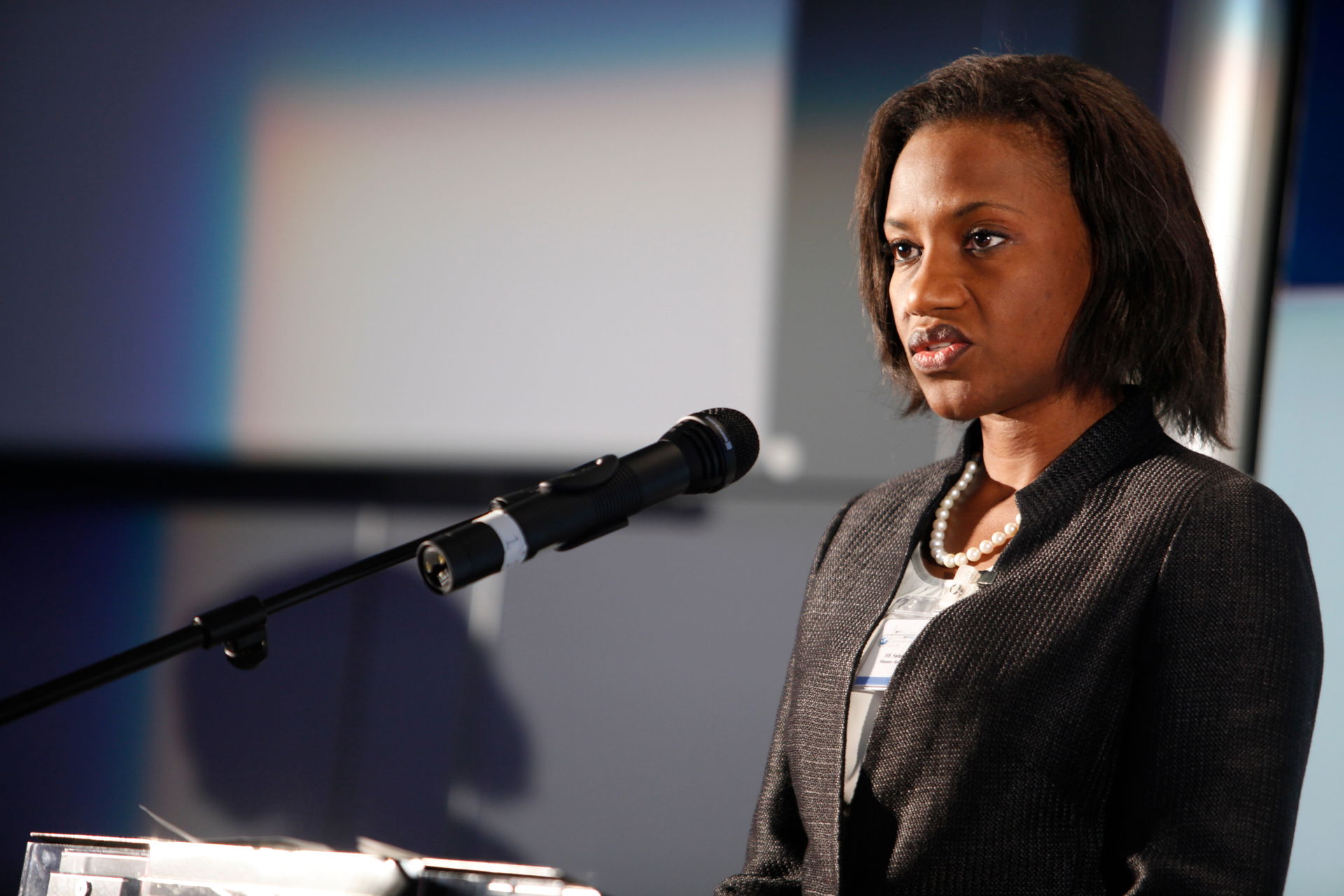 HE Mrs Salamatou Gourouza Djibo, Minister of Mines and Energy o…