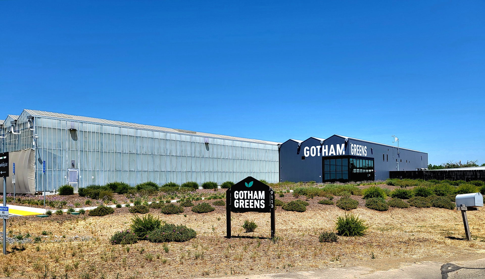 The Gotham Greens hydroponic  greenhouse facility in Davis, Cal…