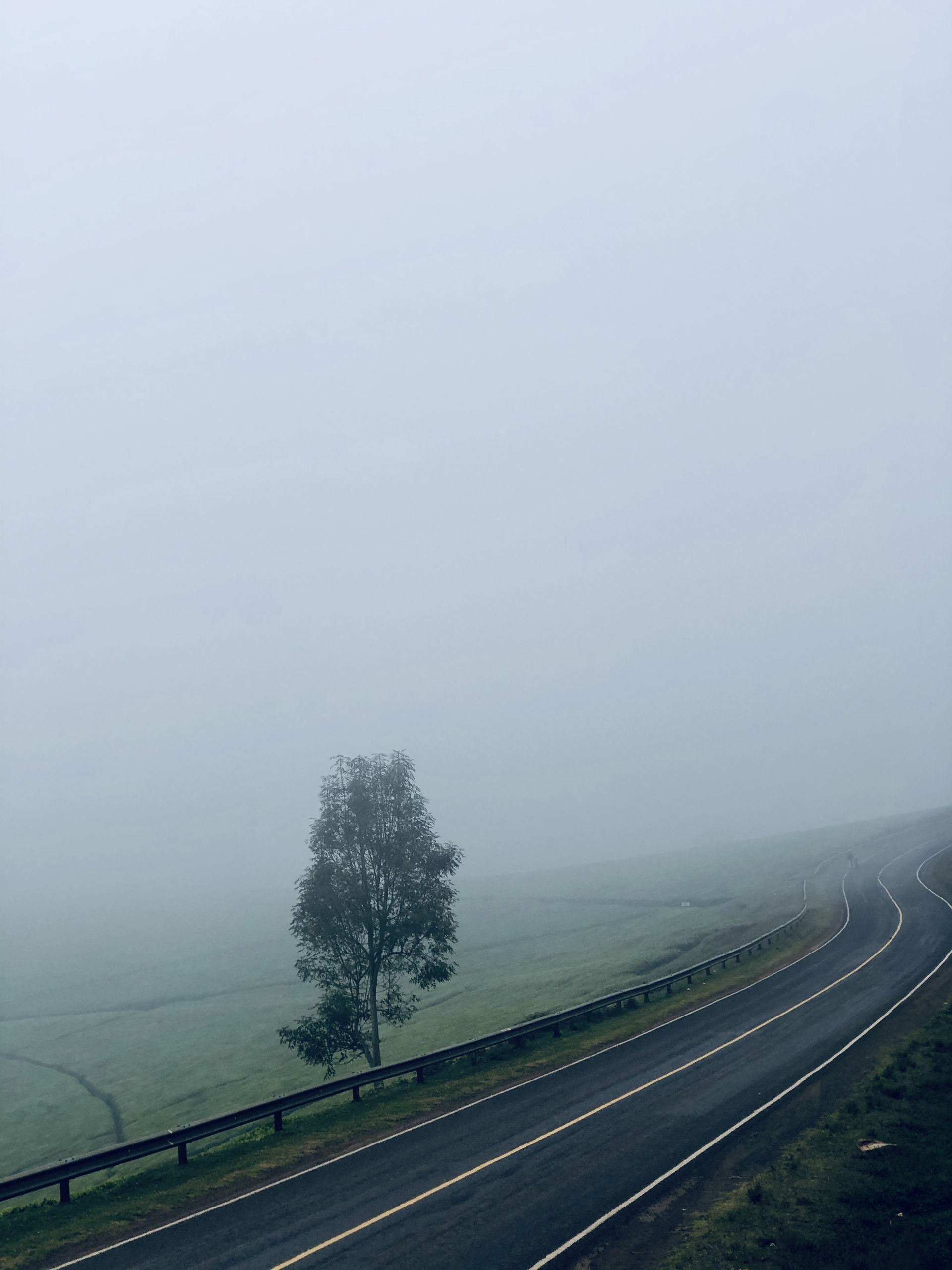 Kiambu Road Fog