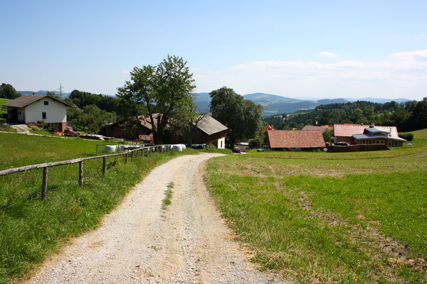 Hollabrunn