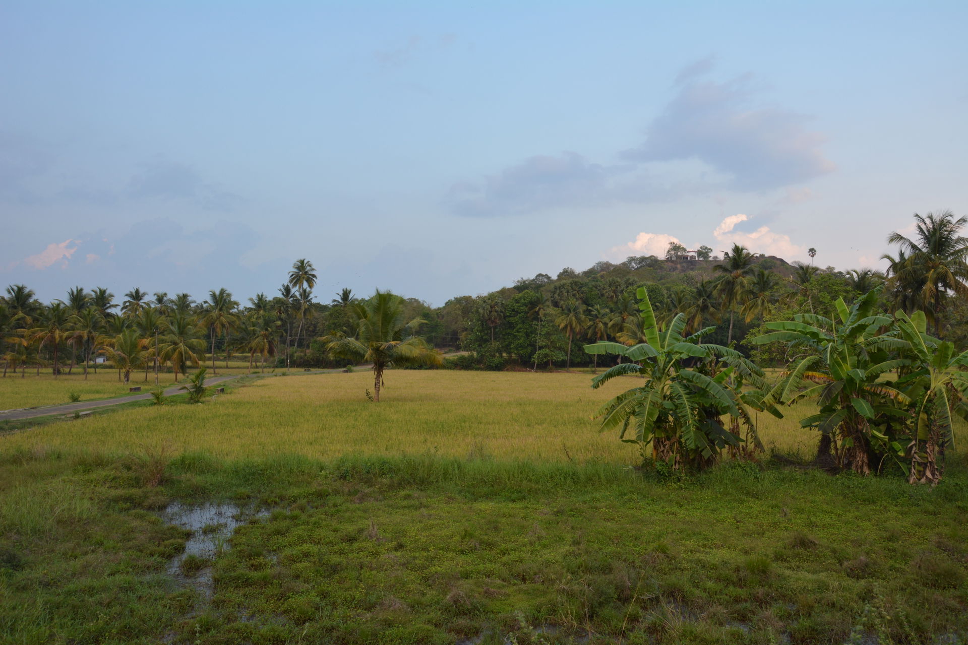 WikiVoyage Workshop 2025 Palakkad