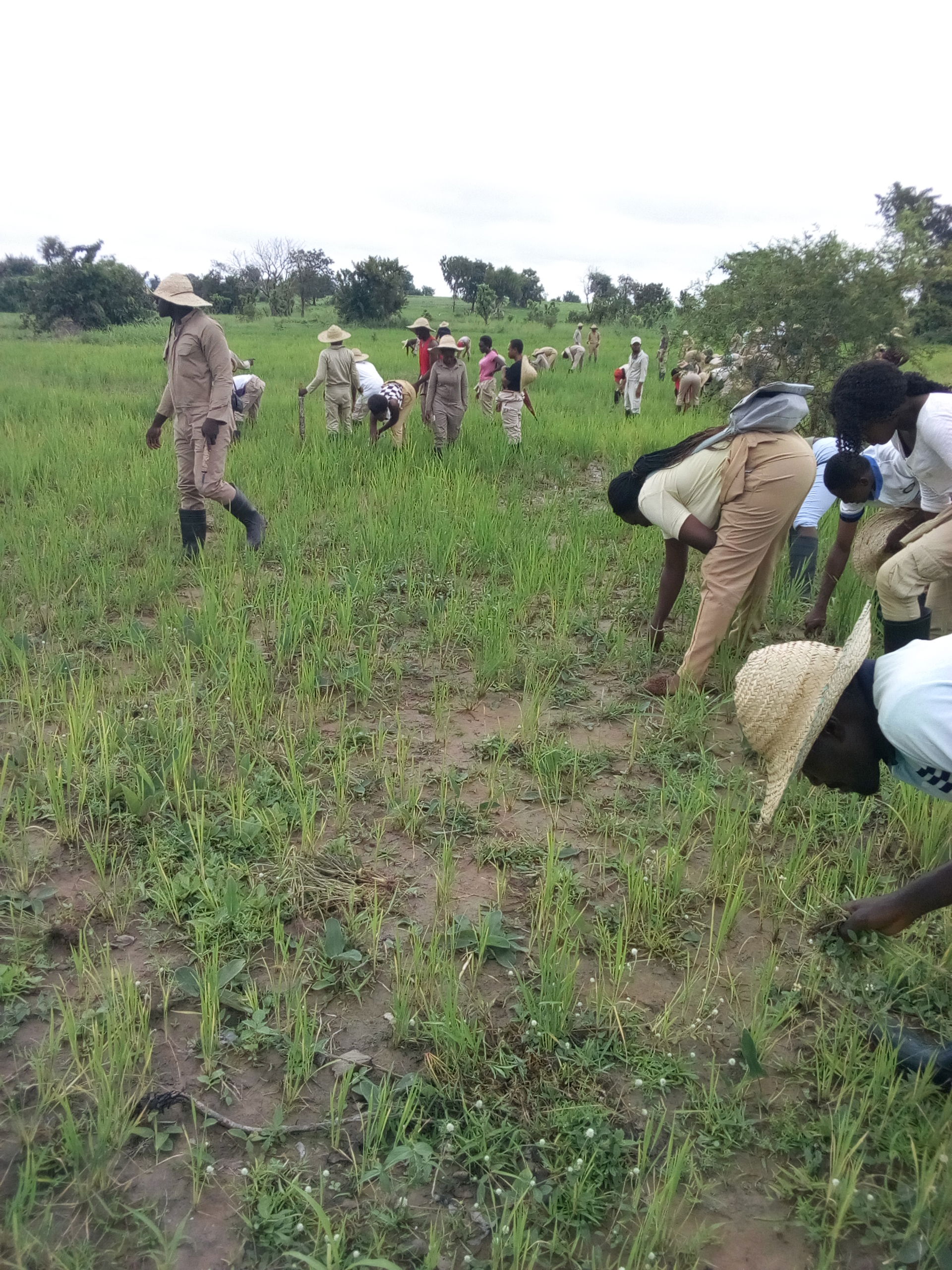 This is an image of "African people at work" from
