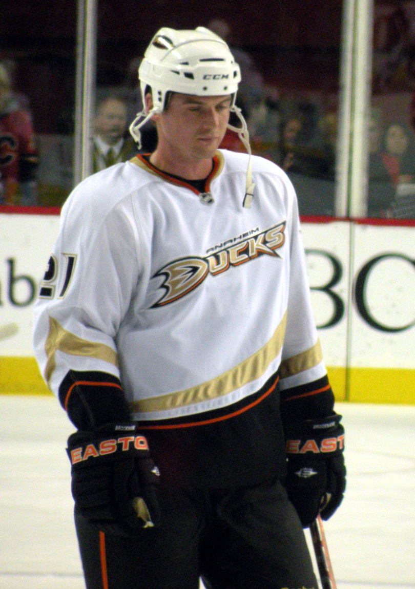 Anaheim Ducks defenceman Sheldon Brookbank prior to a National …