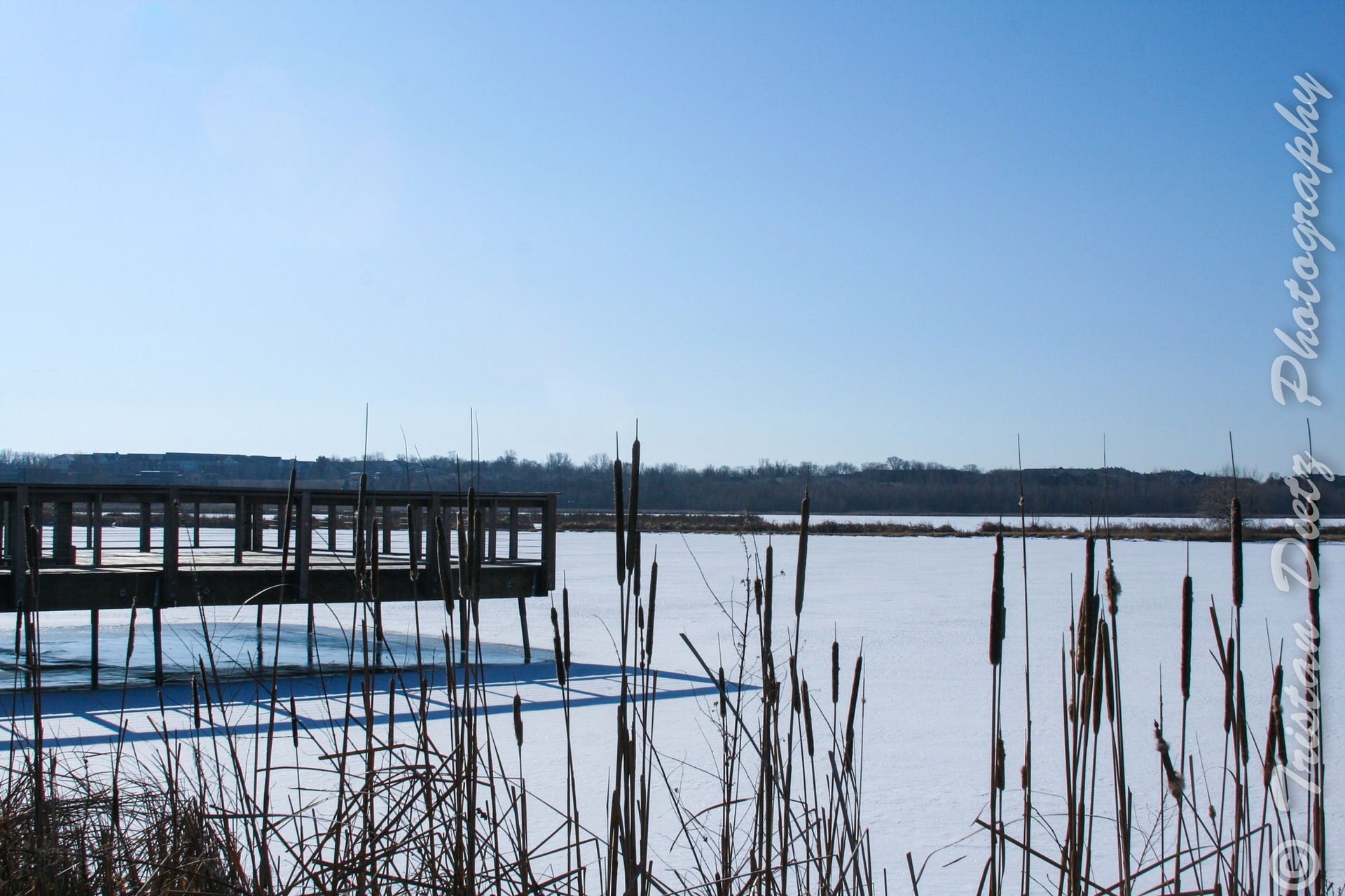 500px provided description: Frozen lake with reeds [#Snow ,#Win…