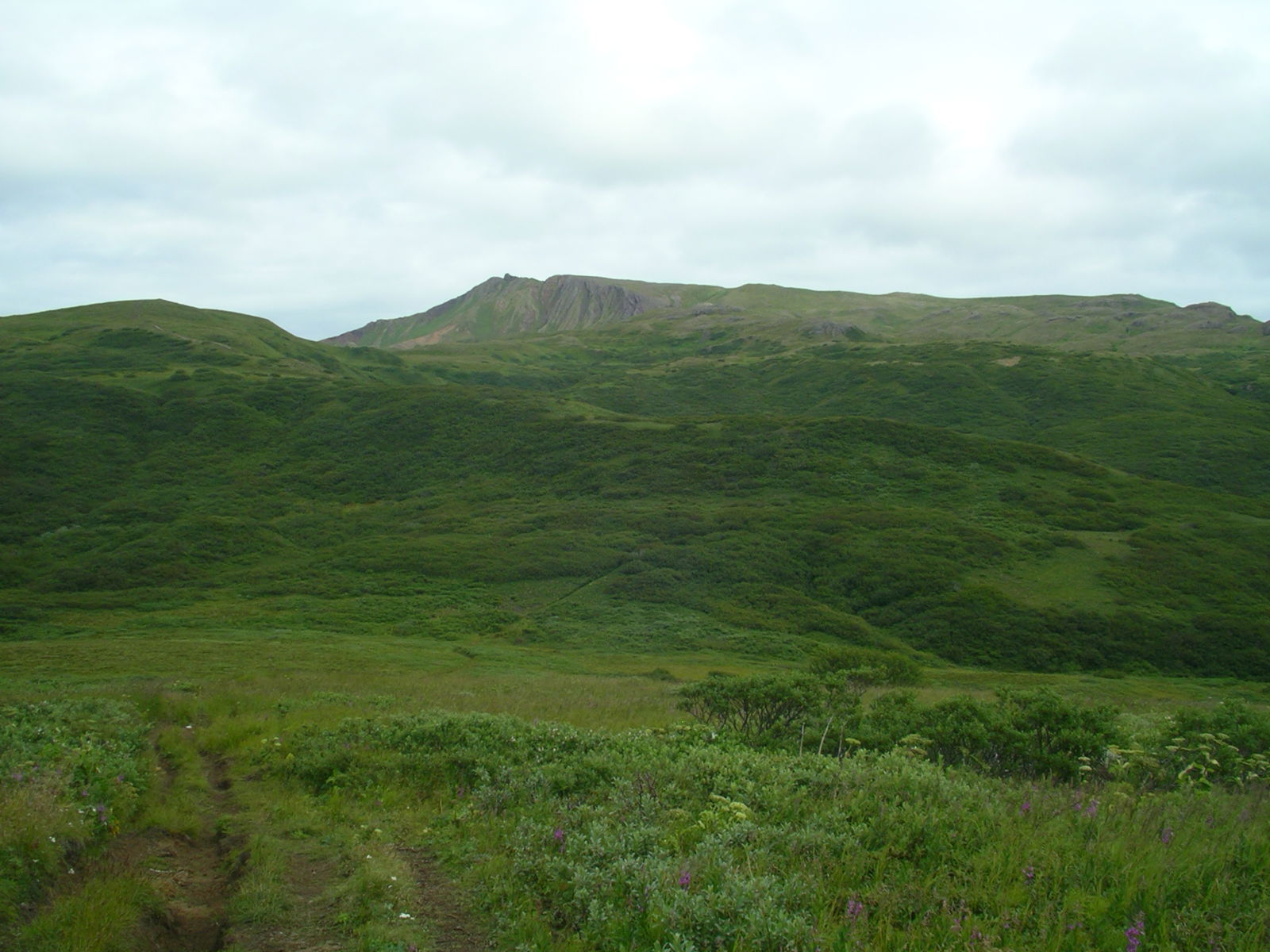 Tundra and mountains