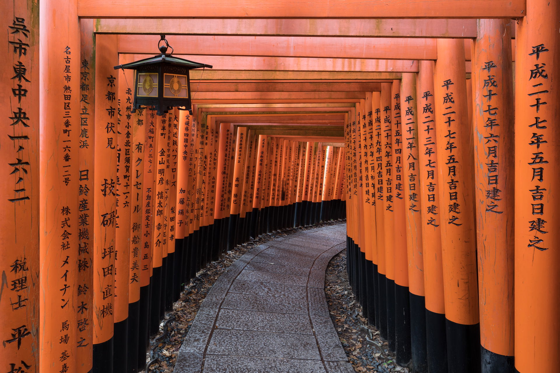 Torii path with a hanging lantern at Fushimi Inari Taisha Shrin…