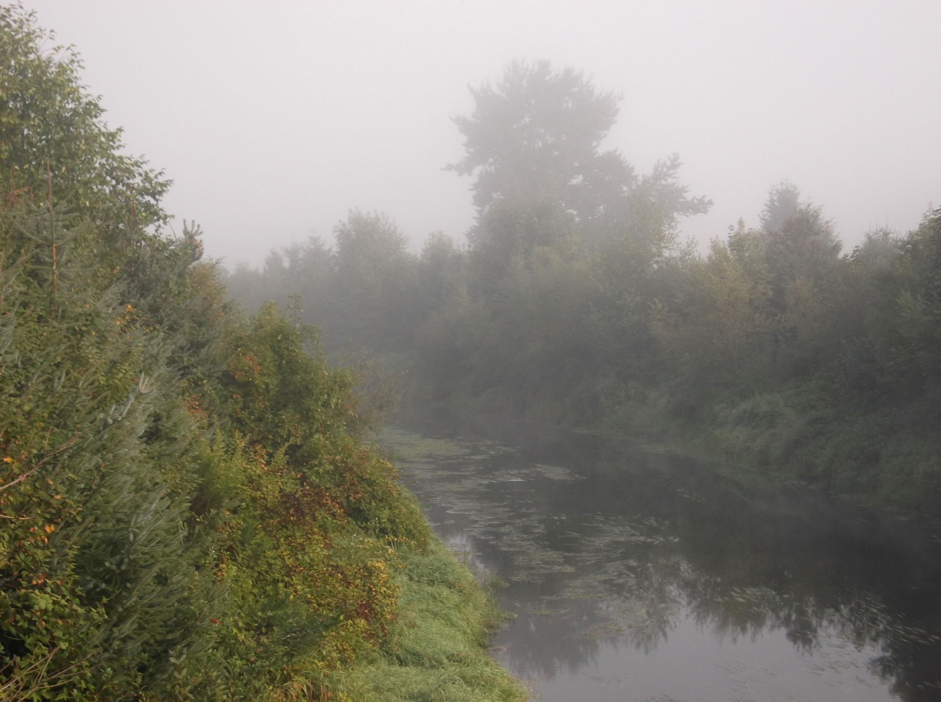 The Sammamish River (also known as Sammamish Slough) flows thro…