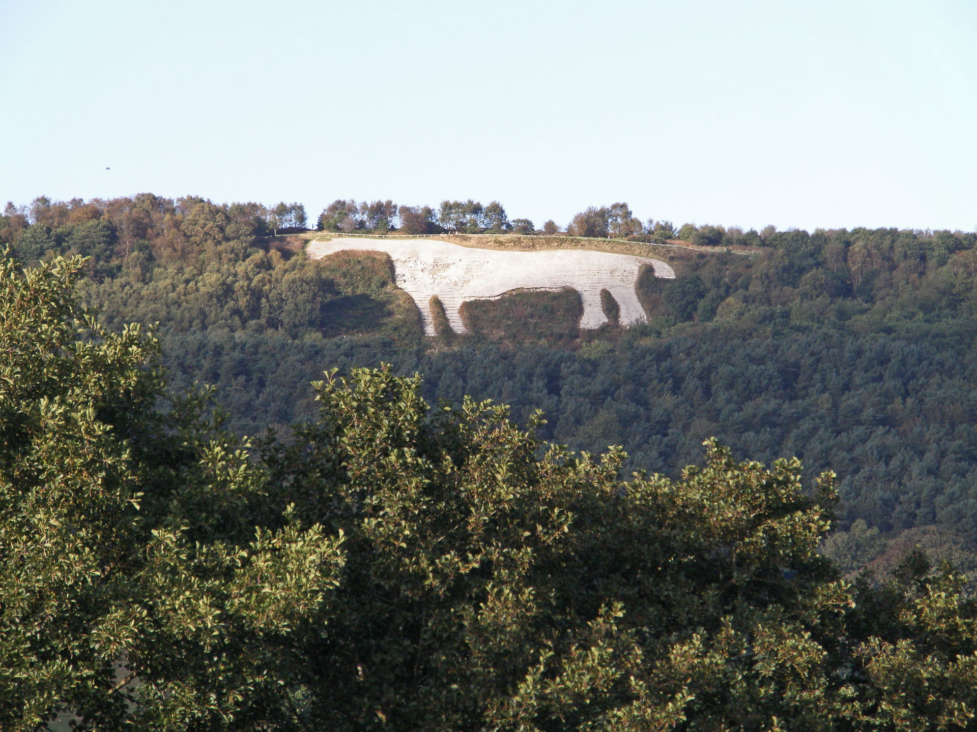 White Horse