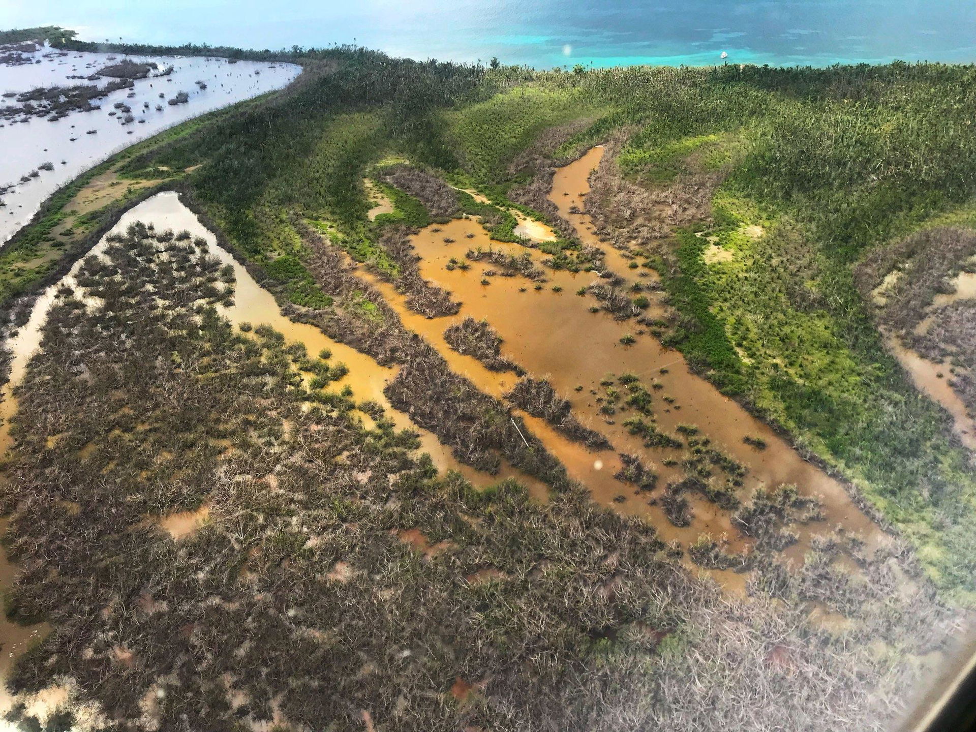 The mangrove swamp on Vieques Island was crossed by a 38-kilovo…