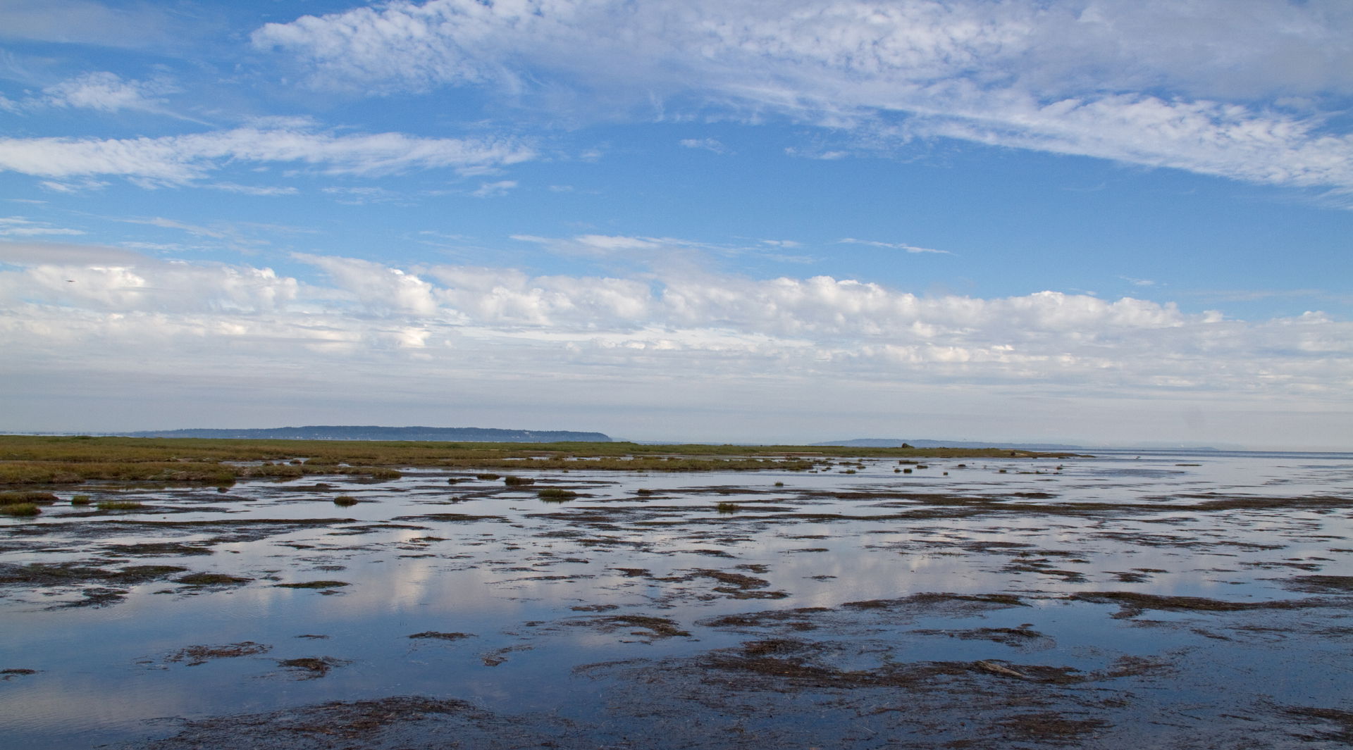 Delta British Columbia 2