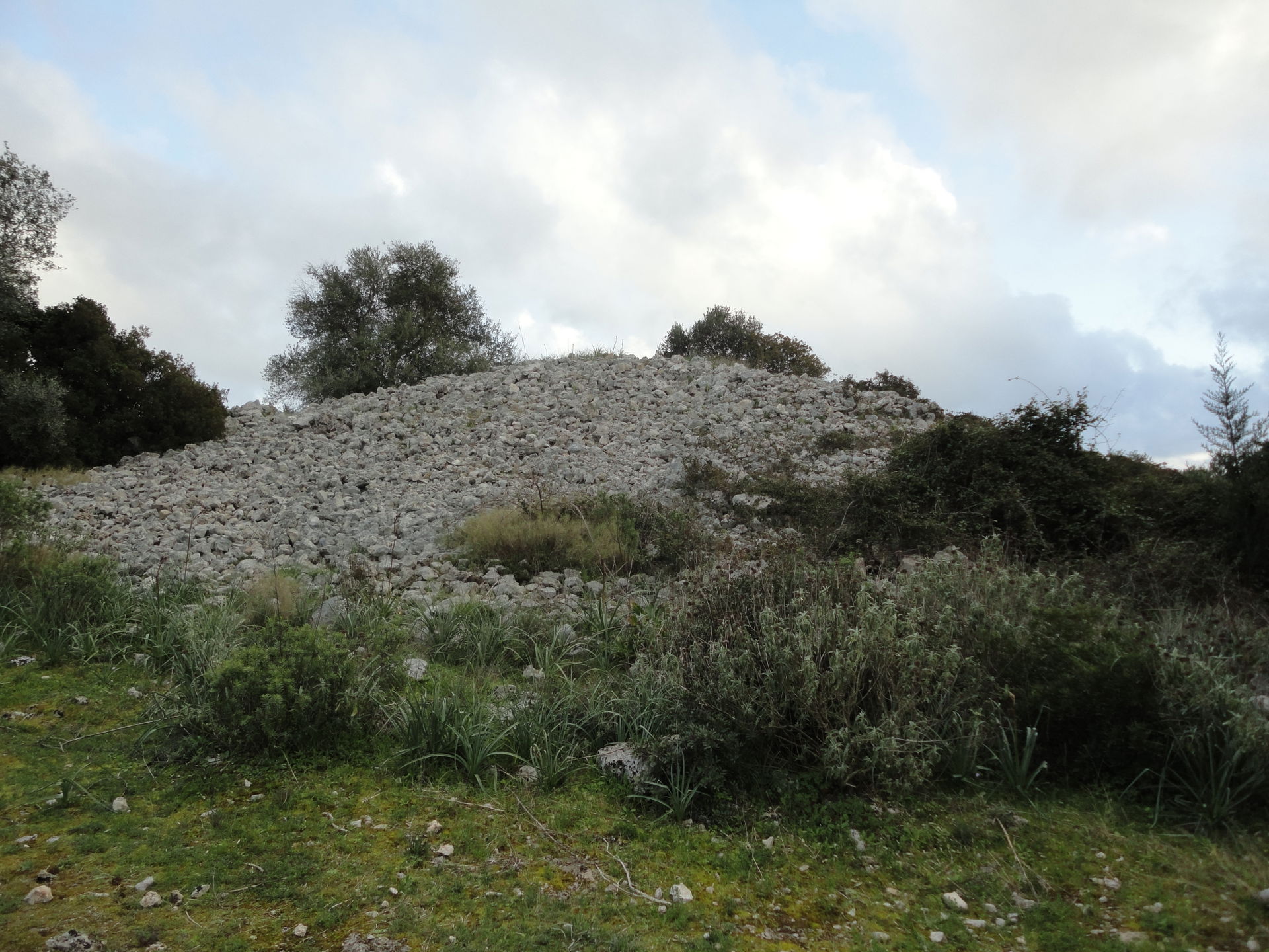 Specchia Silva di Taurisano, Lecce