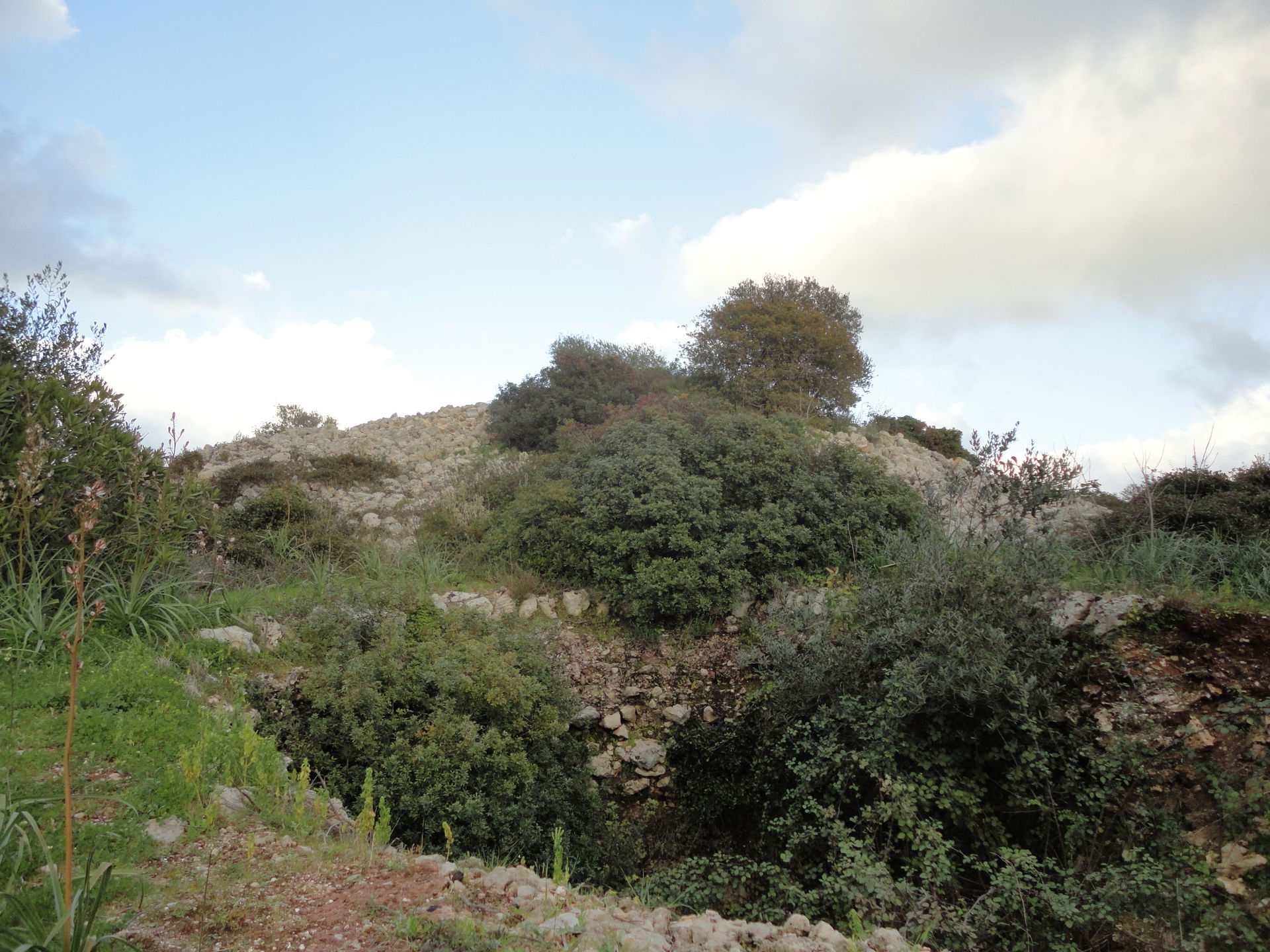 Specchia Silva Taurisano, Lecce