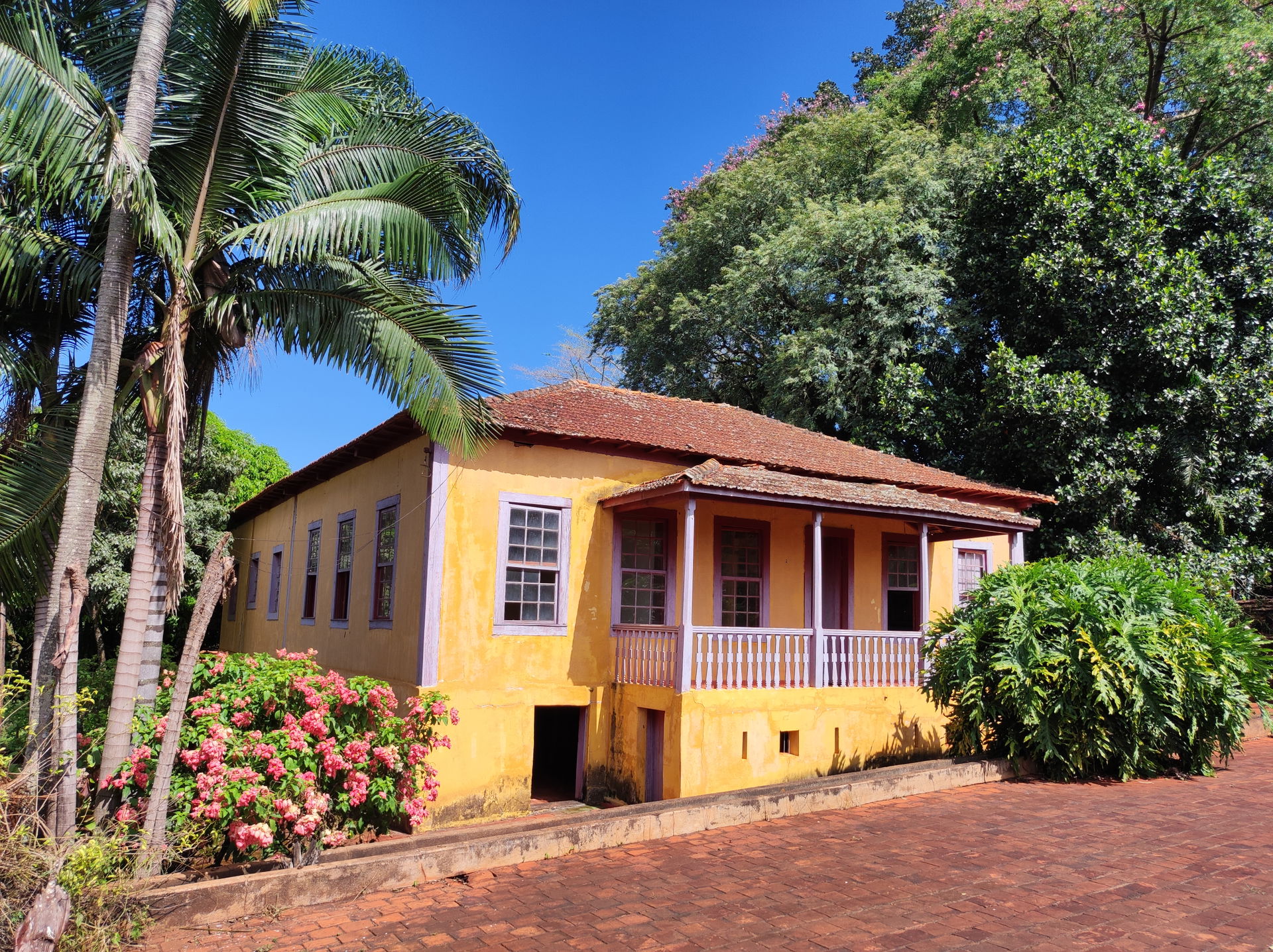 A fazenda São José do Mato Seco, inicialmente conhecida como Bo…