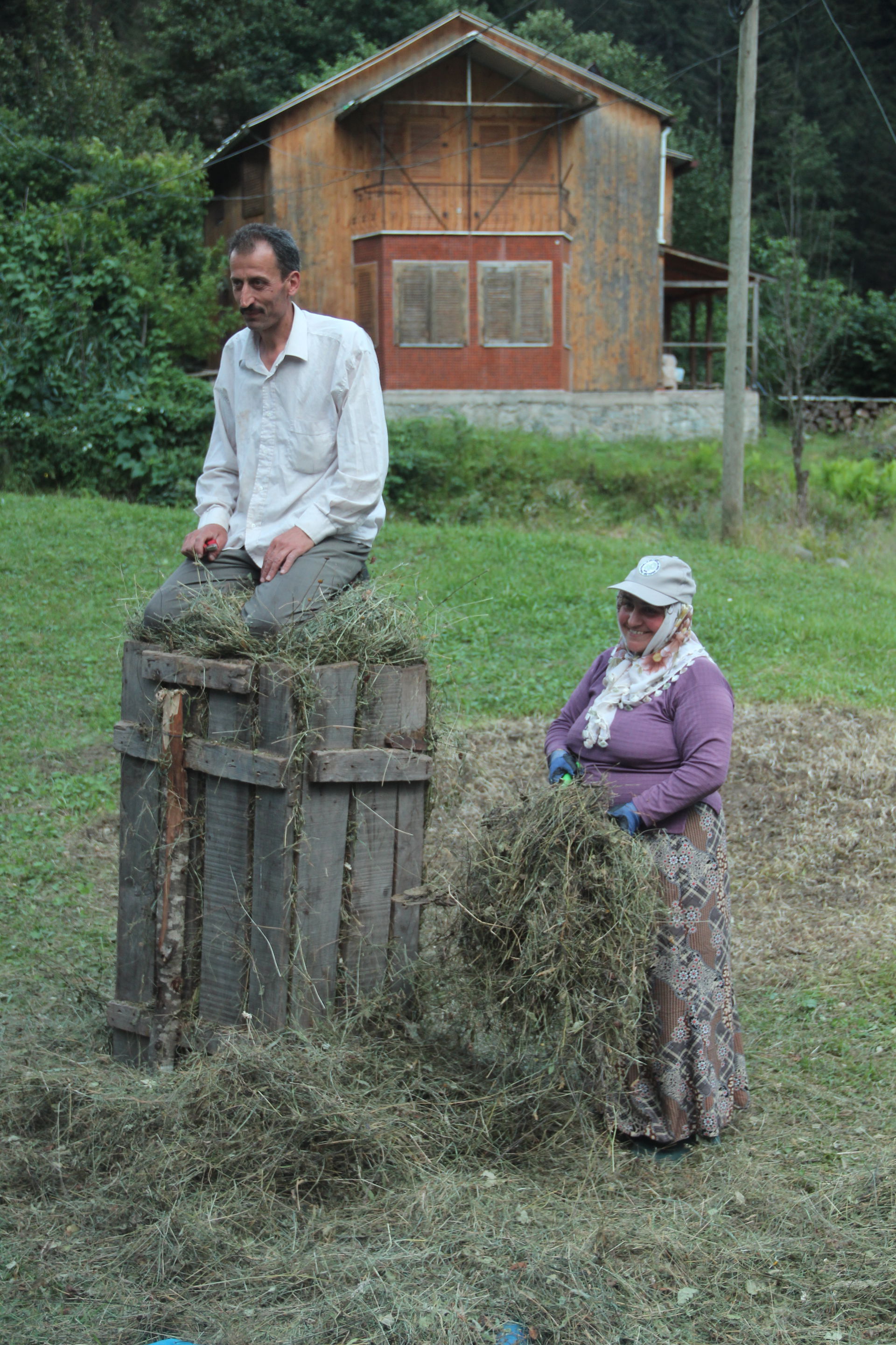 Making Grass Bale, Rize 2014