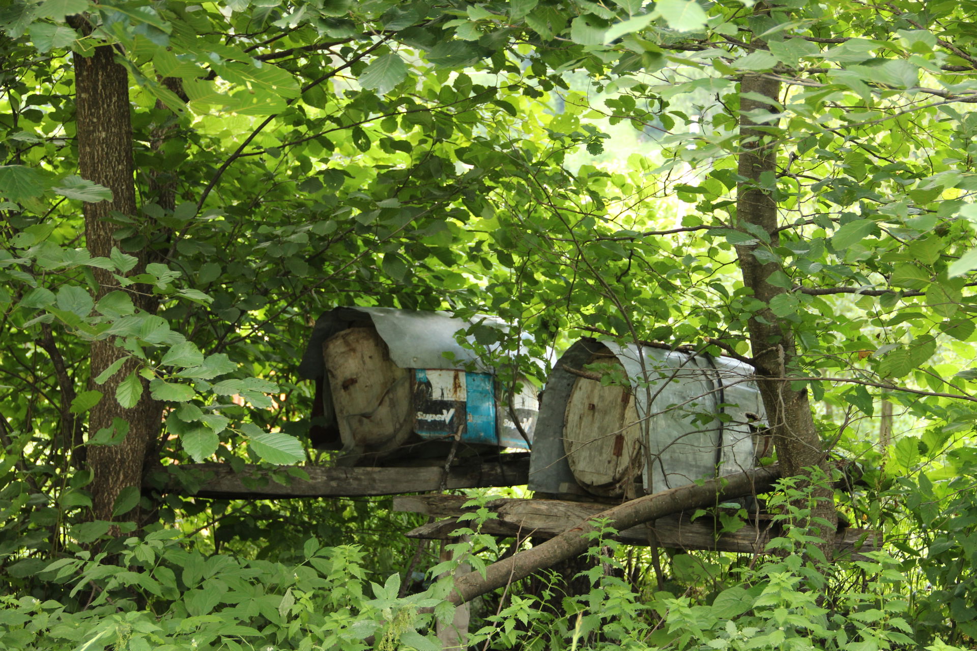 Beehives in Rize 2014