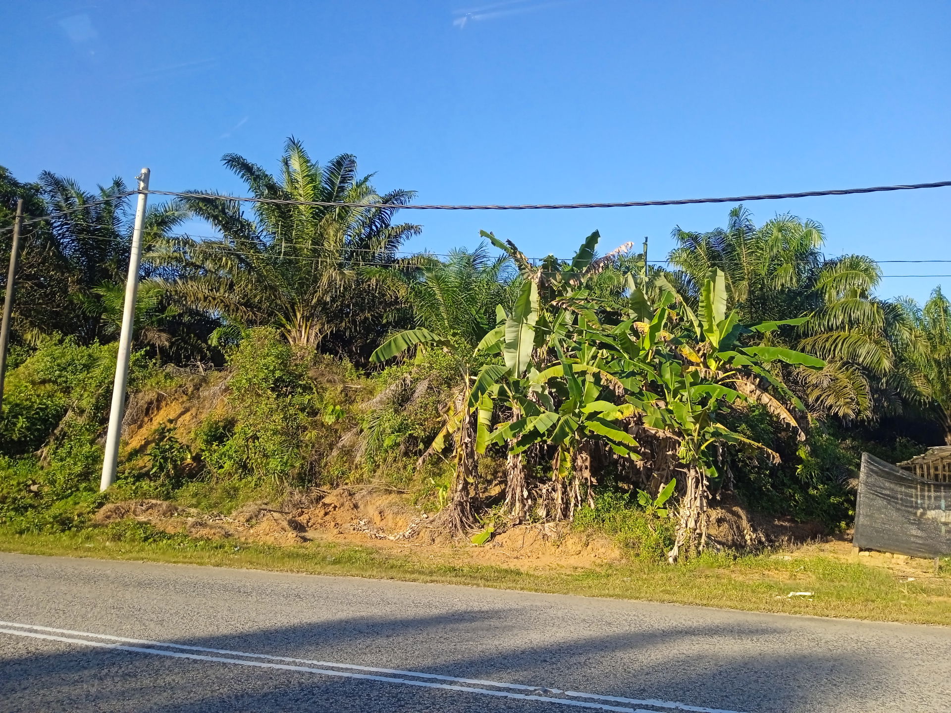 FELDA Jerangau di Daerah Dungun, Terengganu