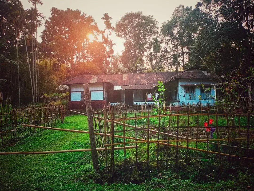 নঙলা