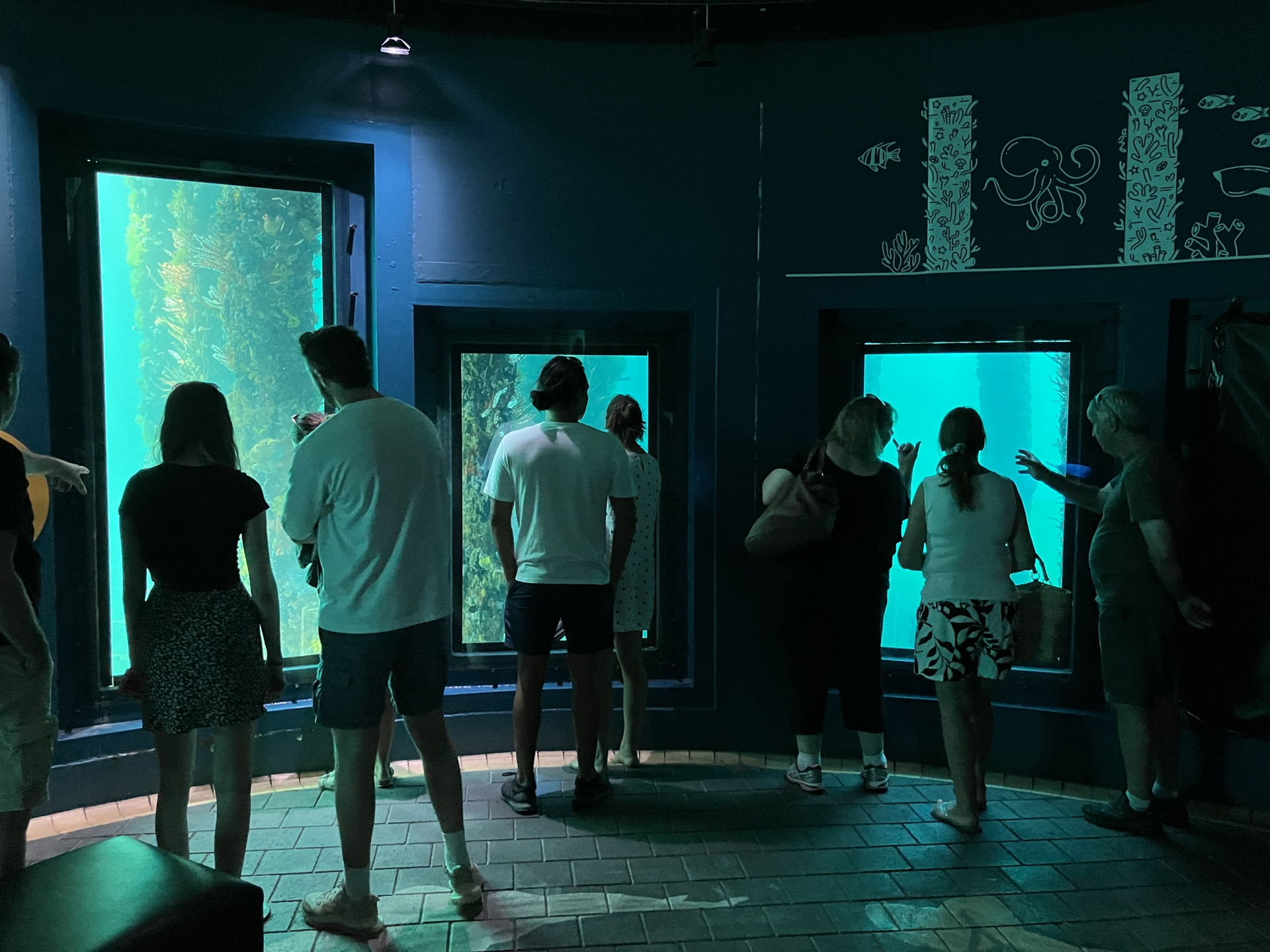 Visitors at the Busselton Jetty underwater observatory in Weste…