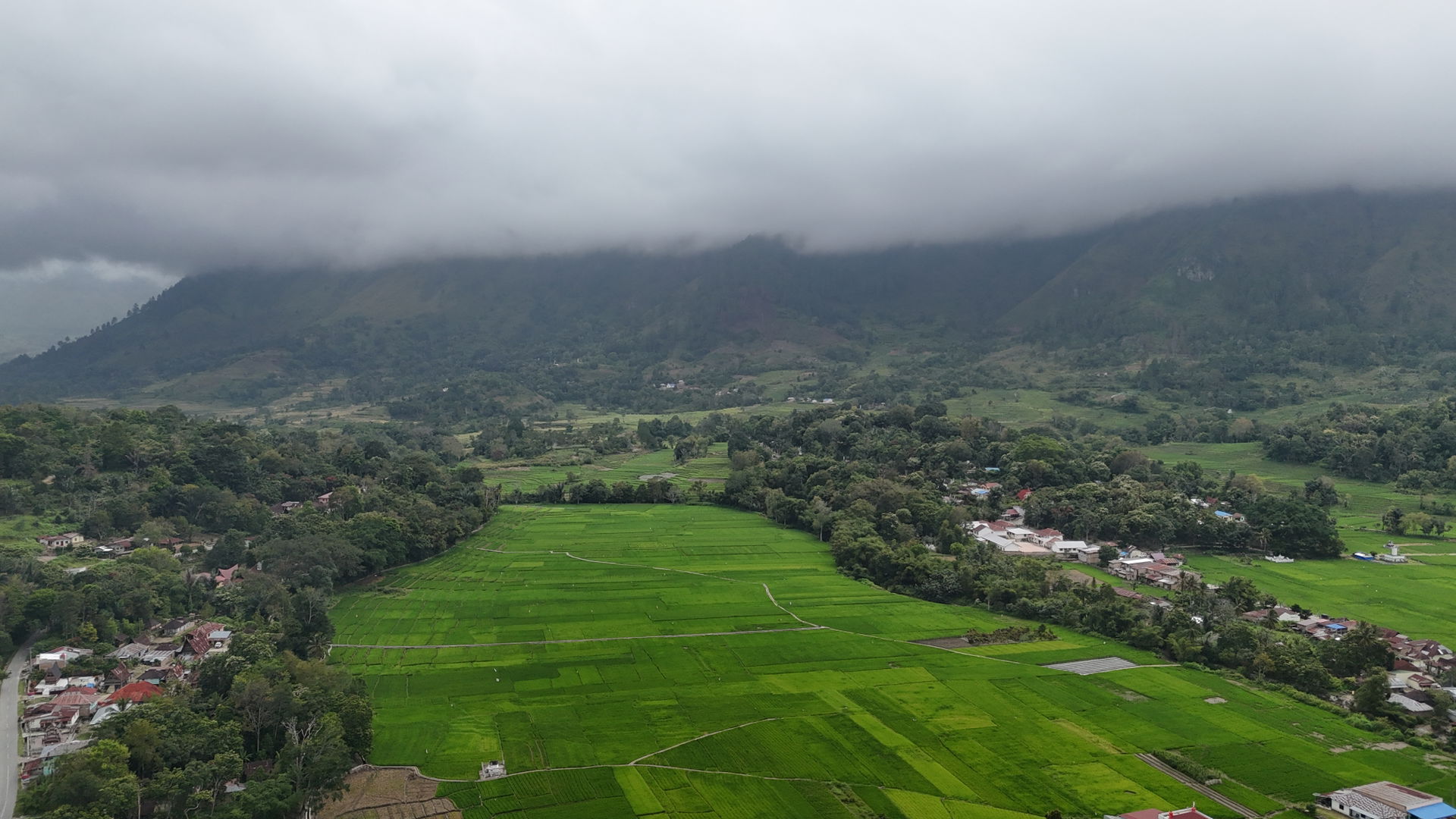 Kawasan sawah masyarakat di desa Muara