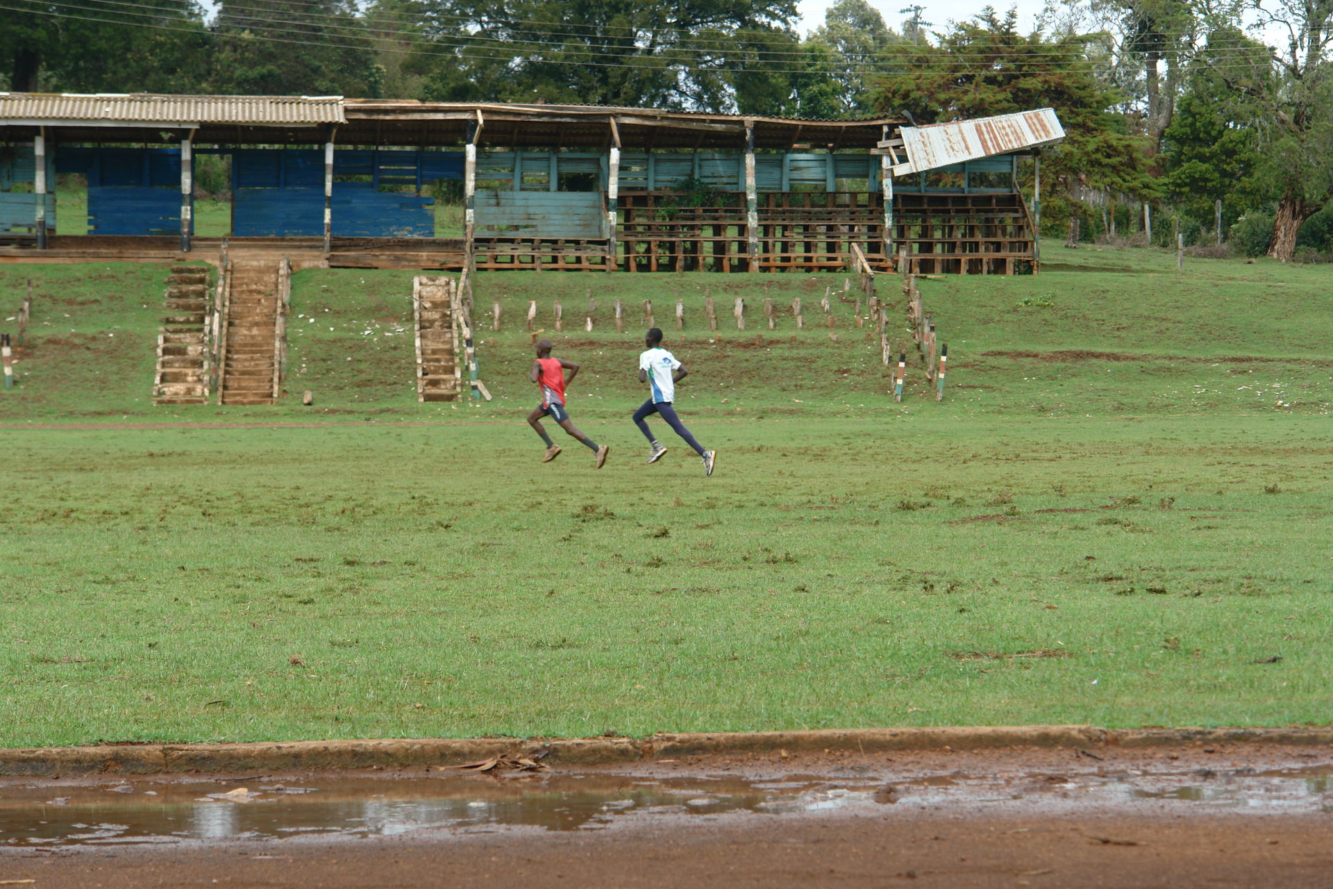 training for the steeplechase
