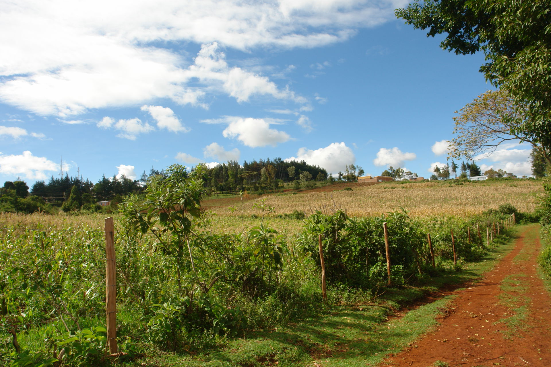 Iten, Kenya