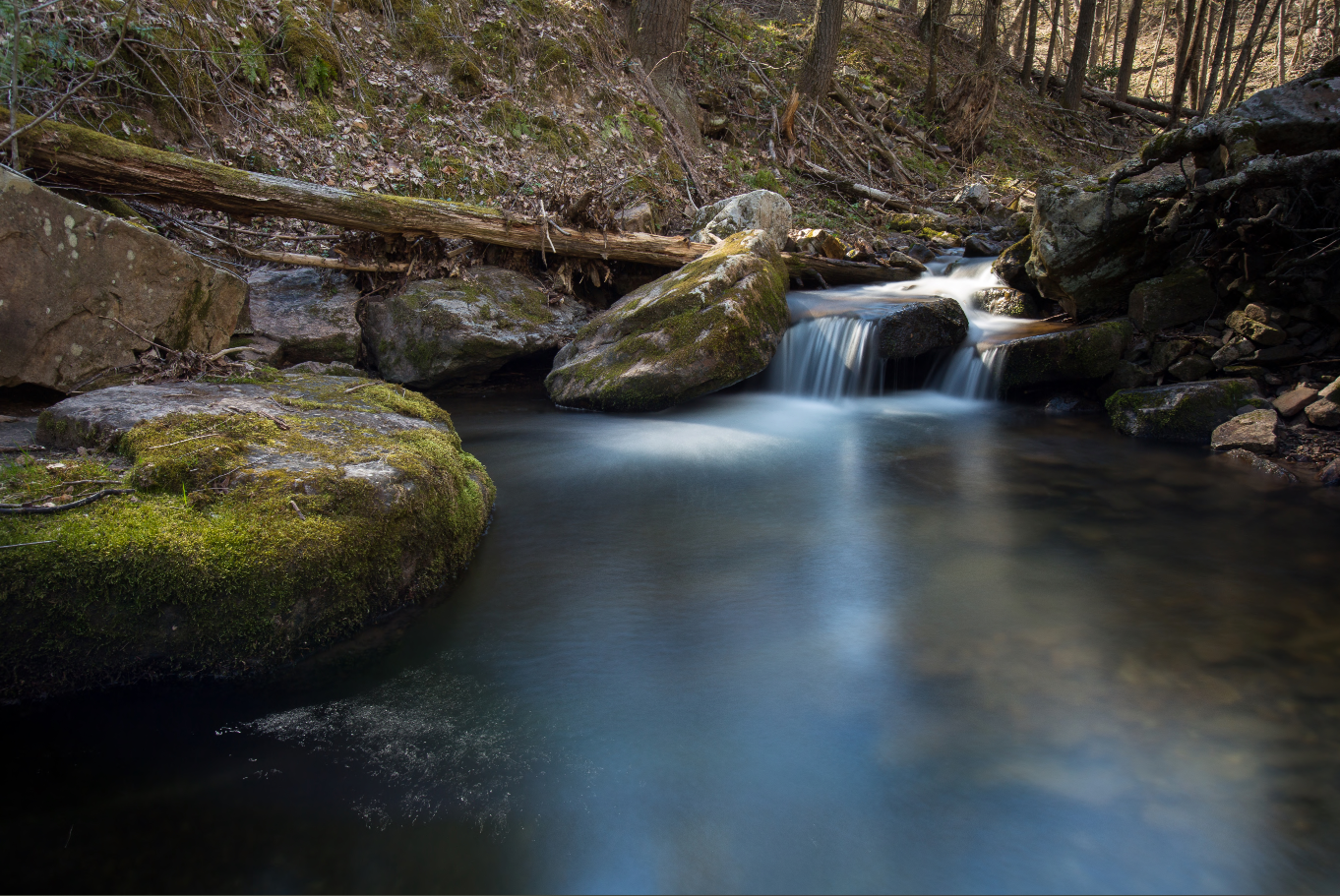 A stream in Pendleton County, West Virginia, in the United Stat…