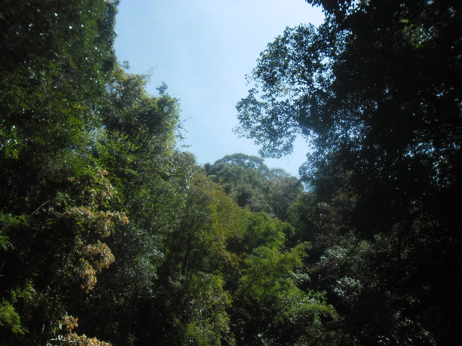 Ratanakiri