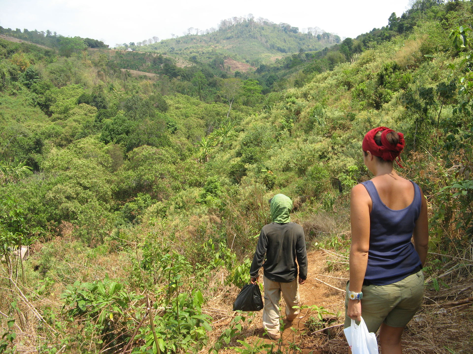 Trail between villages in Ratanakiri, Cambodia