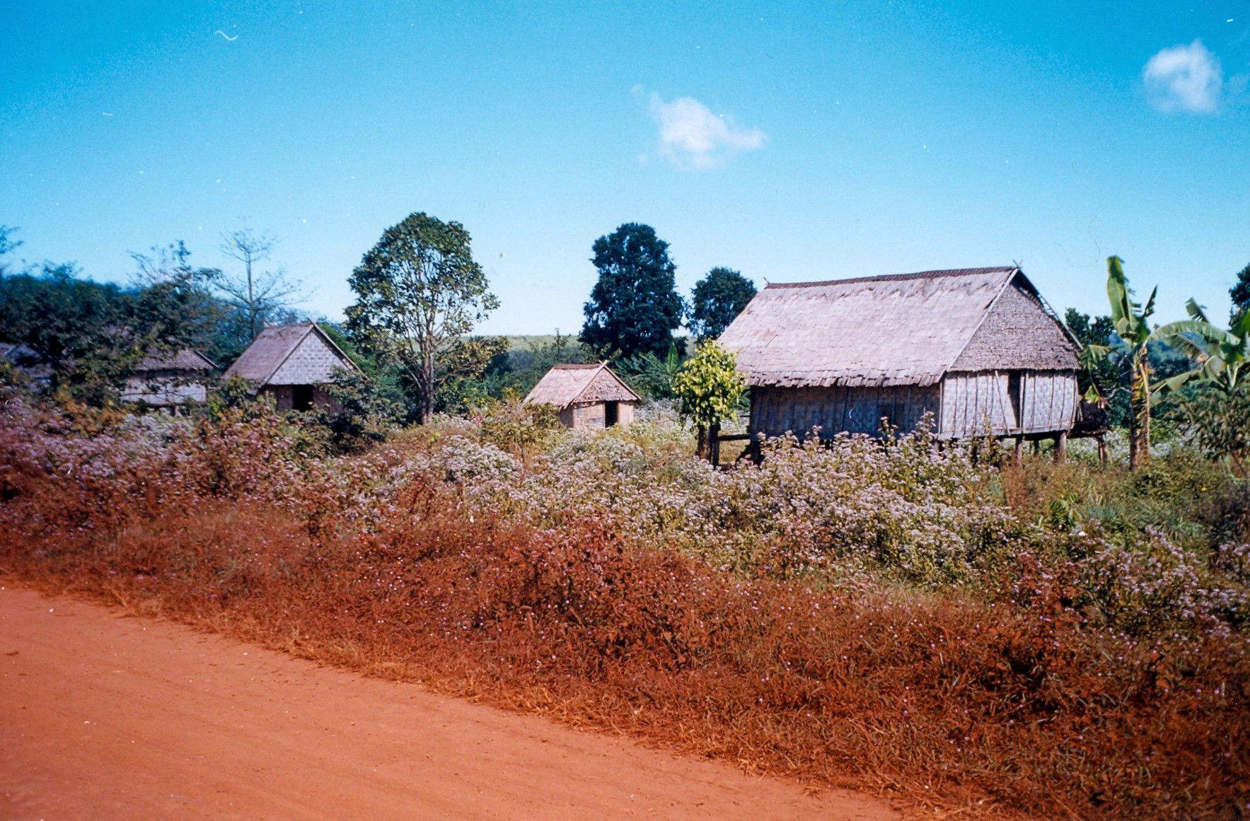 Hill tribe village in Rattanakiri, Cambodia.