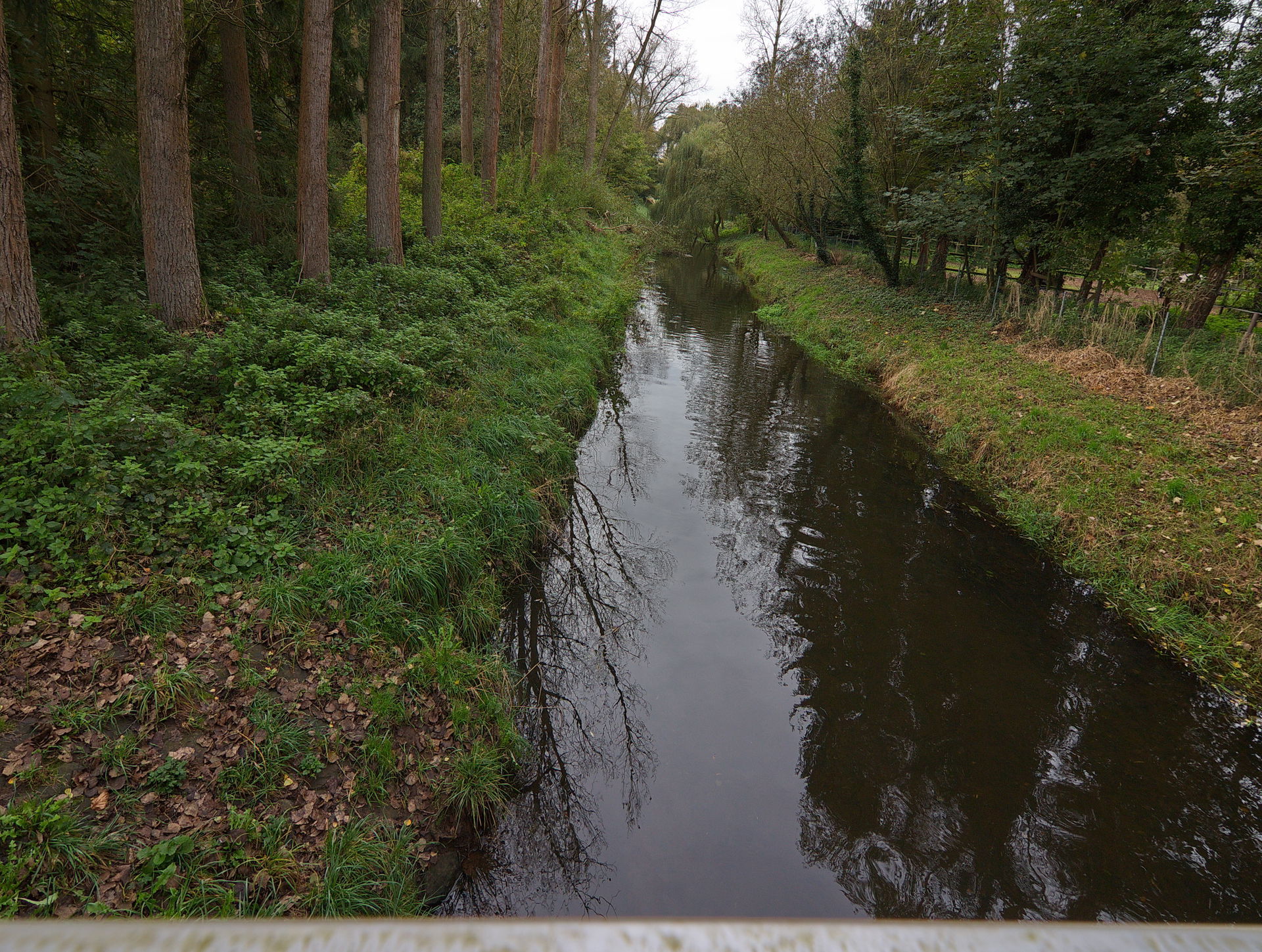 Der Fluss Wietze in Bissendorf-Wietze (Wedemark), Niedersachsen…