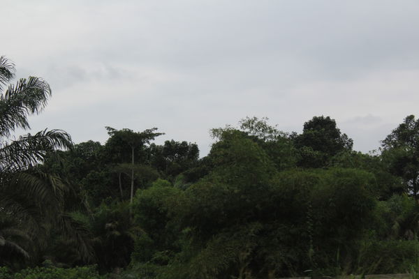 Diosso