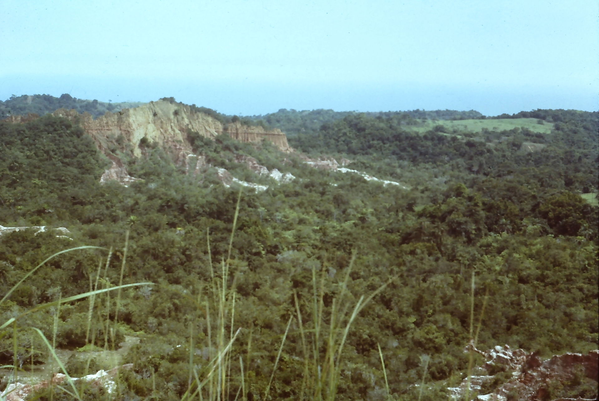 This image was scanned from the original slide taken in 1983 in…