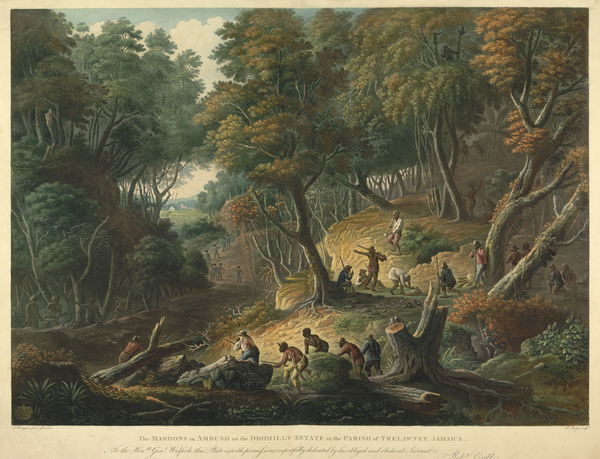 Trelawny Parish